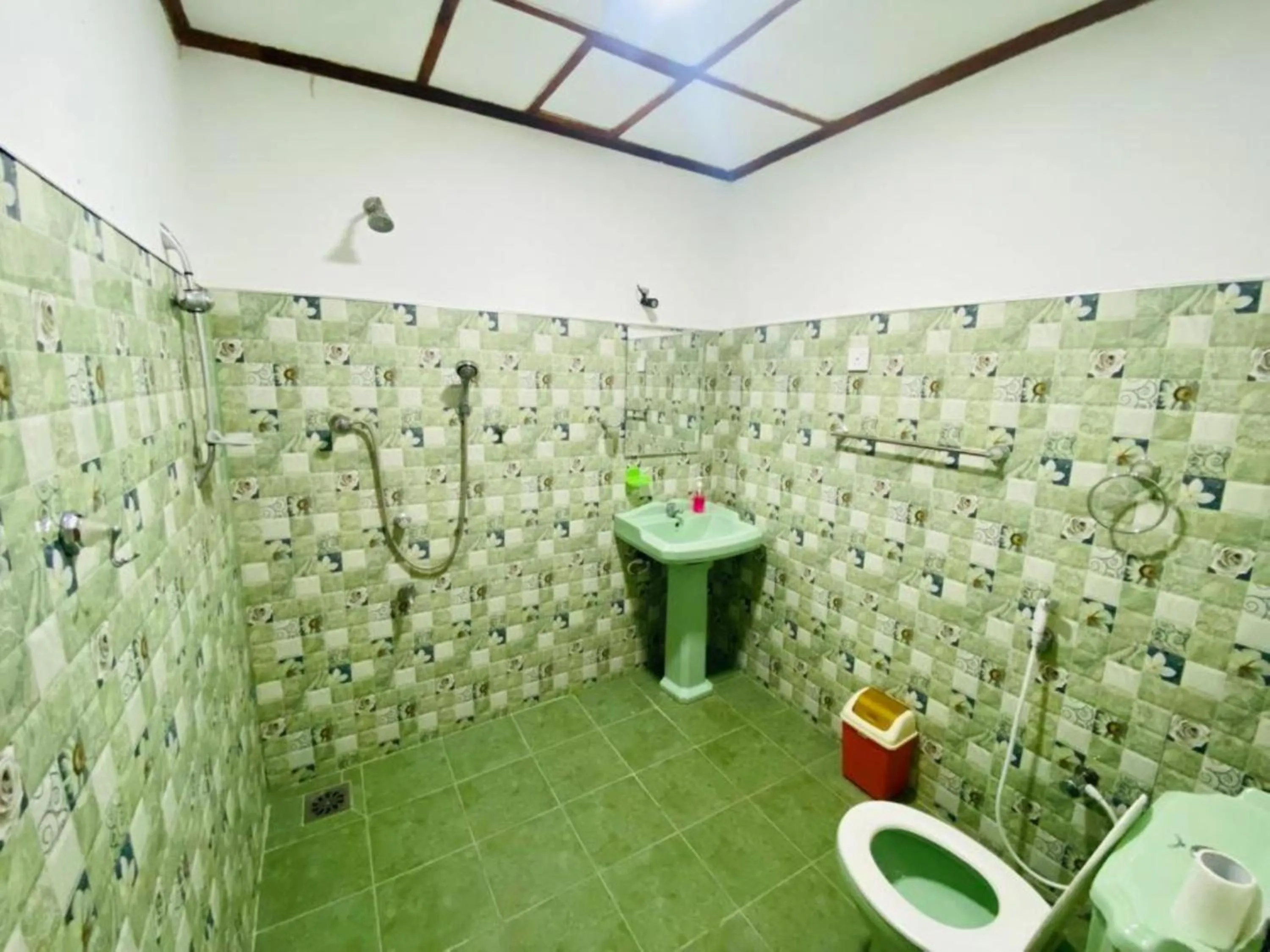 Shower in Rock Lake Home Stay