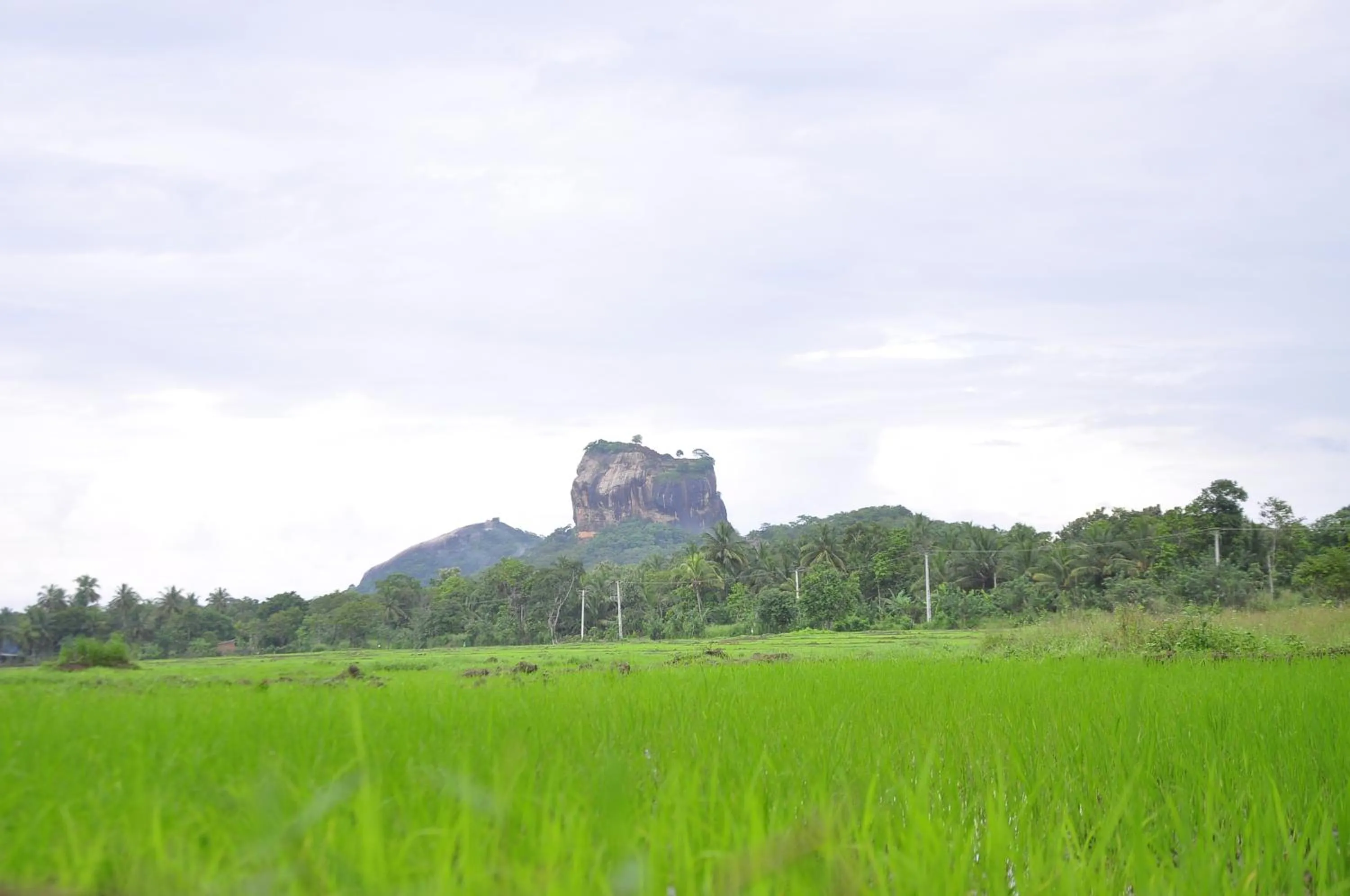 Natural landscape in Rock Lake Home Stay