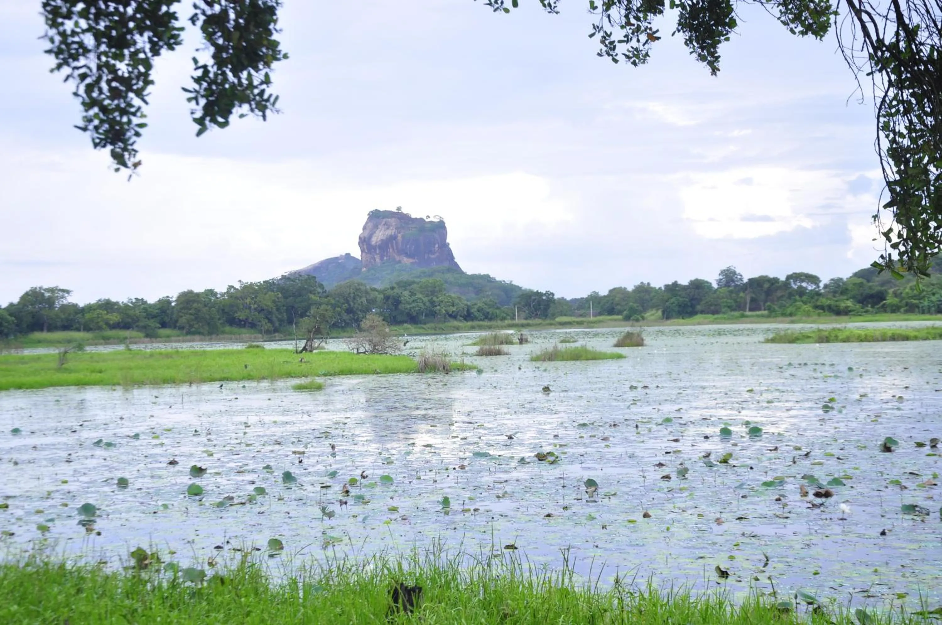 Natural landscape in Rock Lake Home Stay