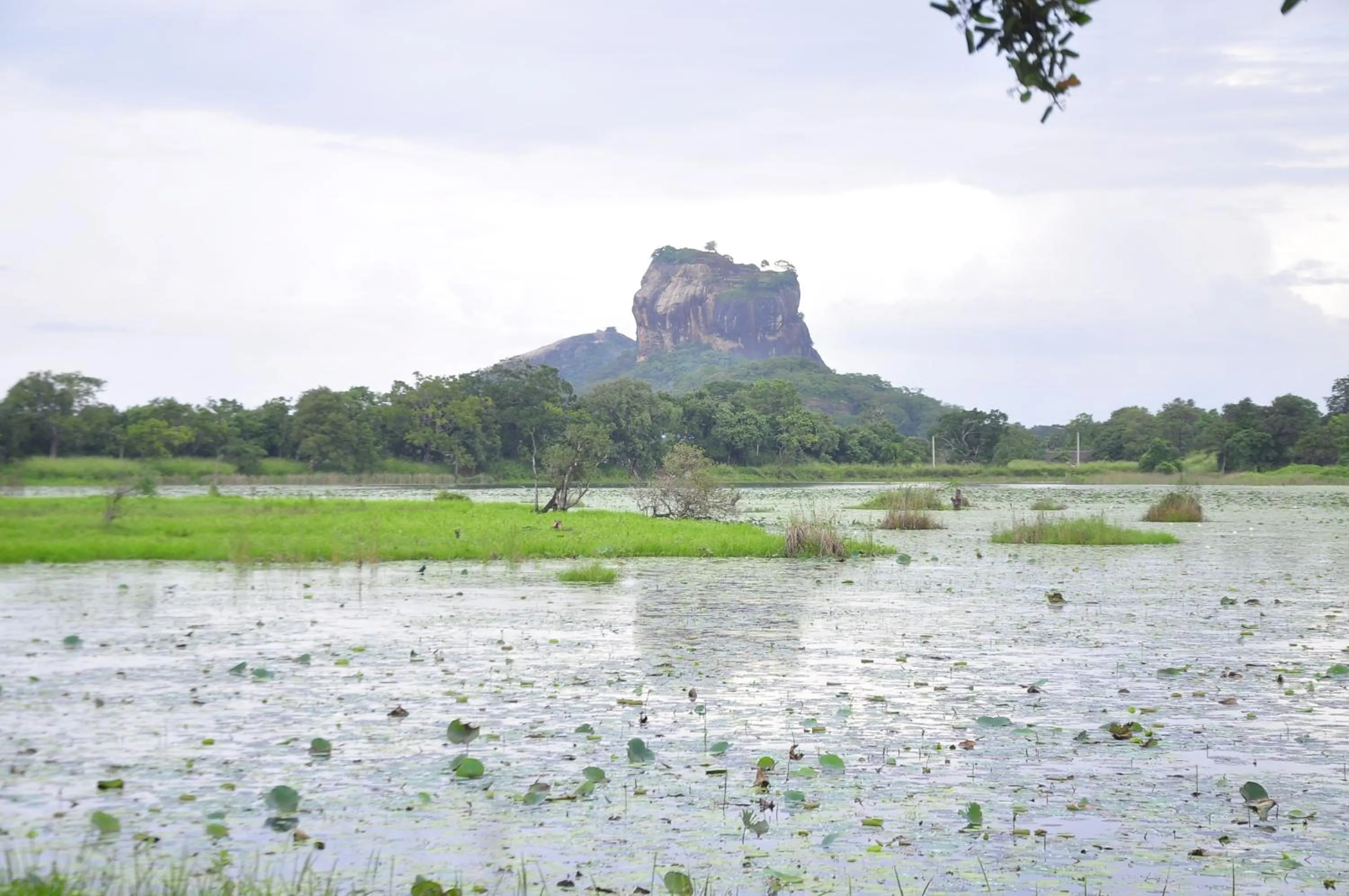 Natural landscape in Rock Lake Home Stay