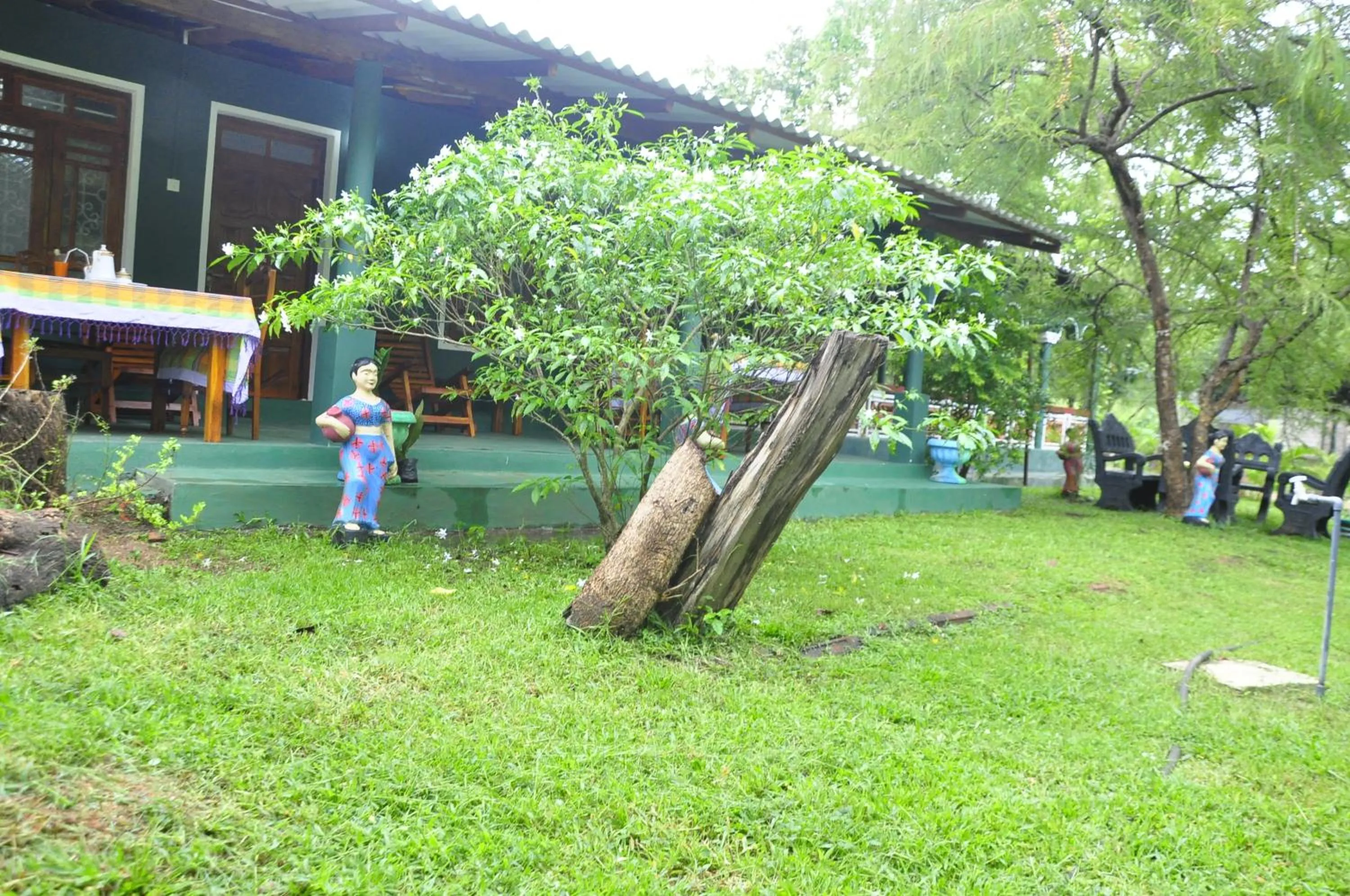 Garden in Rock Lake Home Stay