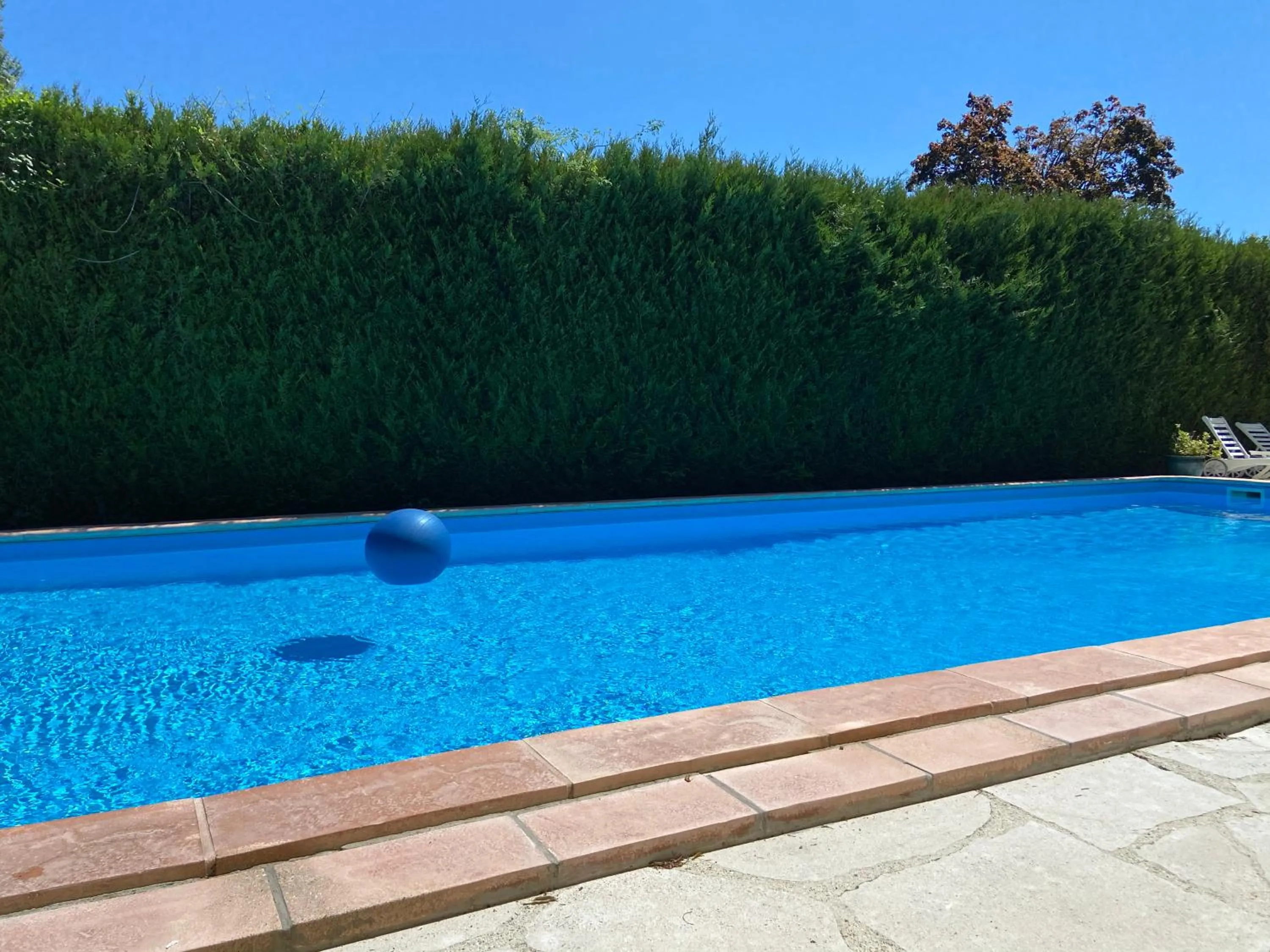 Swimming pool in Manoir des Cavaliers - BnB