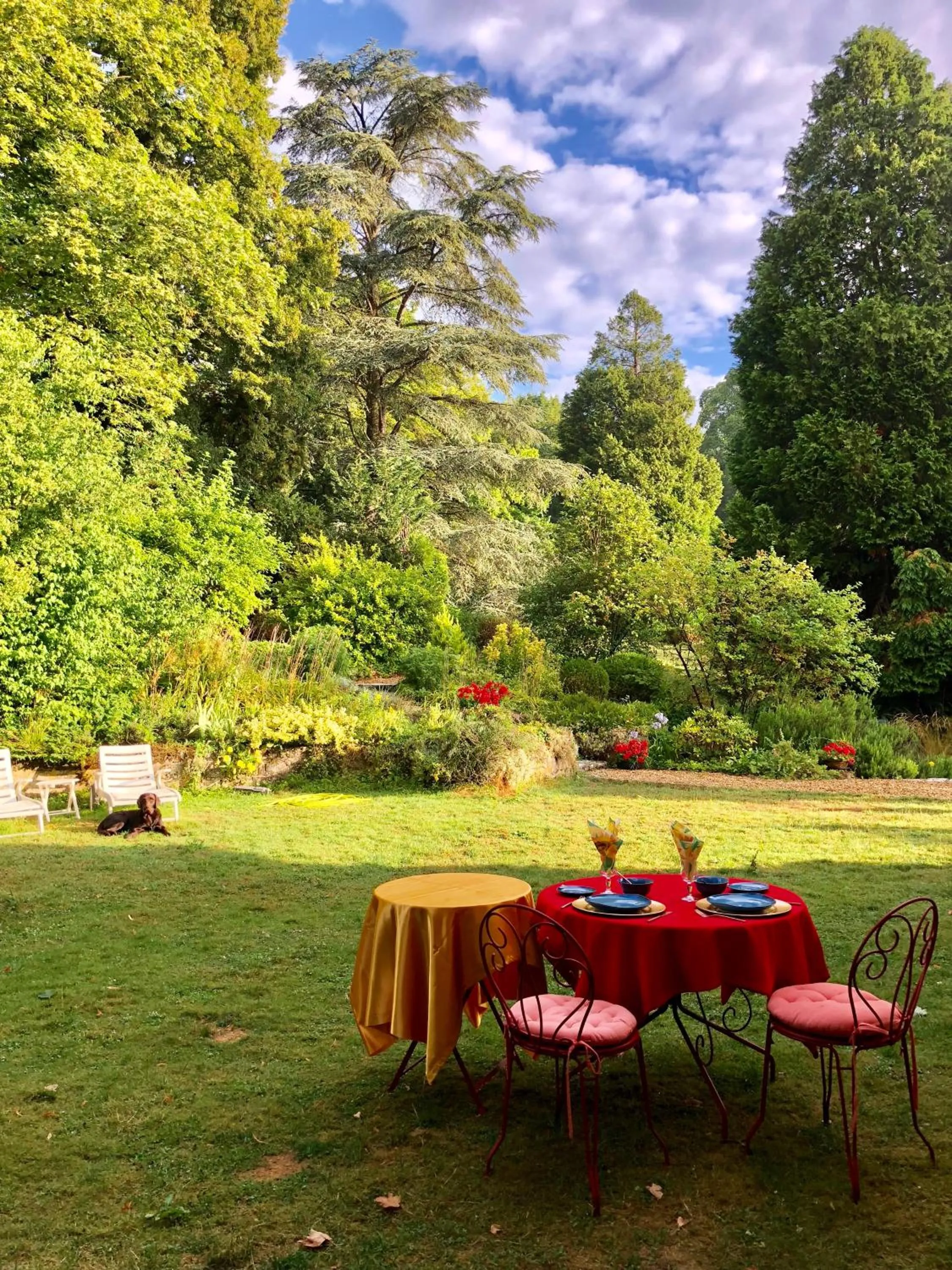 Breakfast in Manoir des Cavaliers - BnB