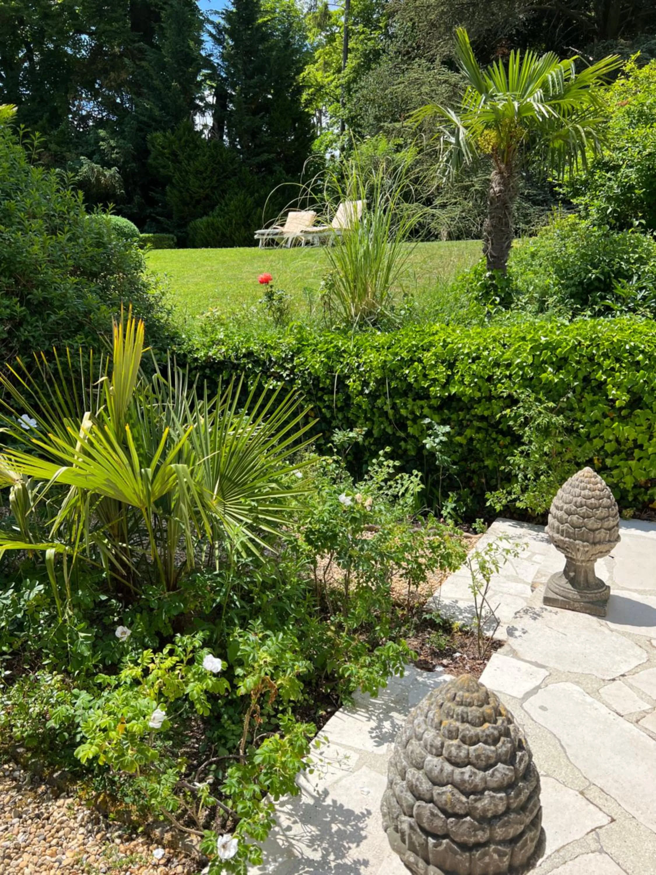 Garden in Manoir des Cavaliers - BnB