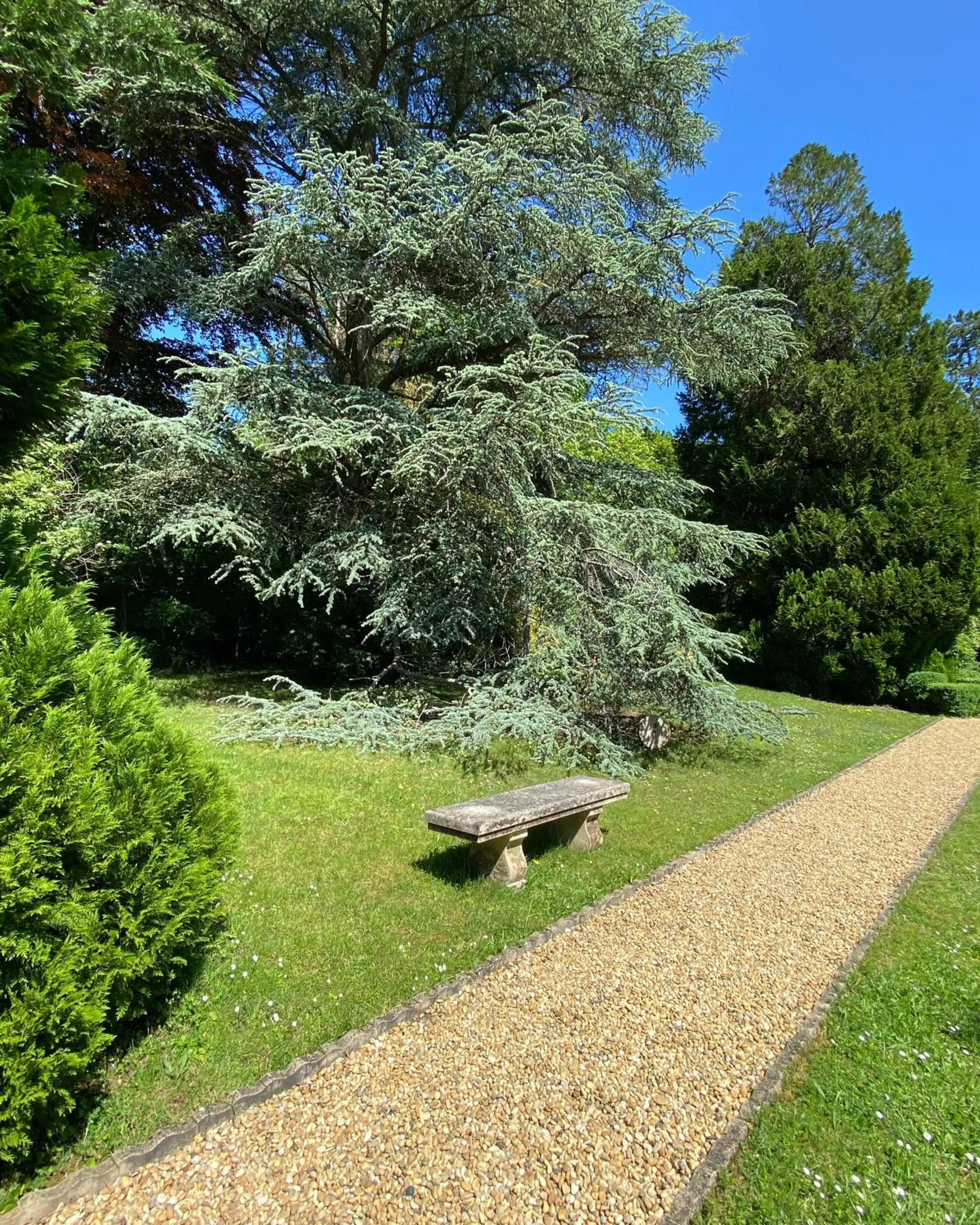 Garden in Manoir des Cavaliers - BnB