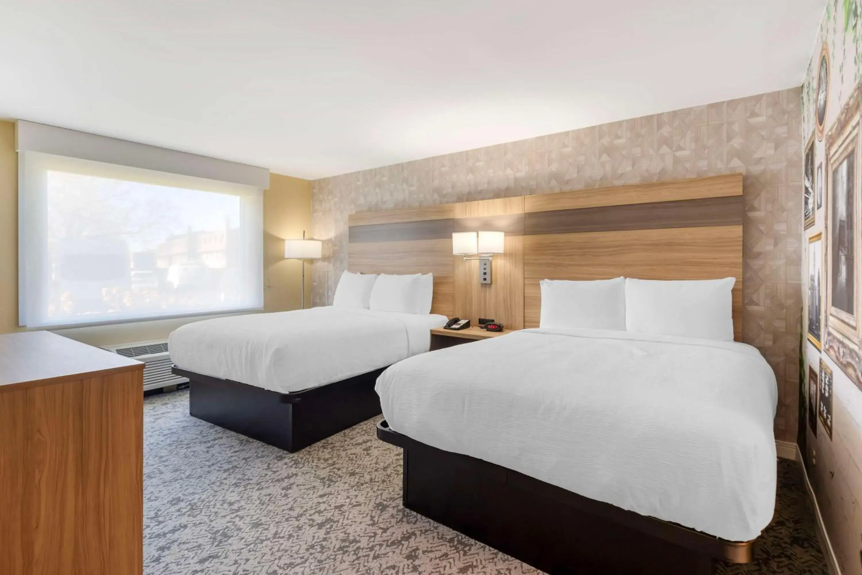 Bed in Best Western Glenview - Chicagoland Inn and Suites Bed in Best Western Glenview - Chicagoland Inn and Suites