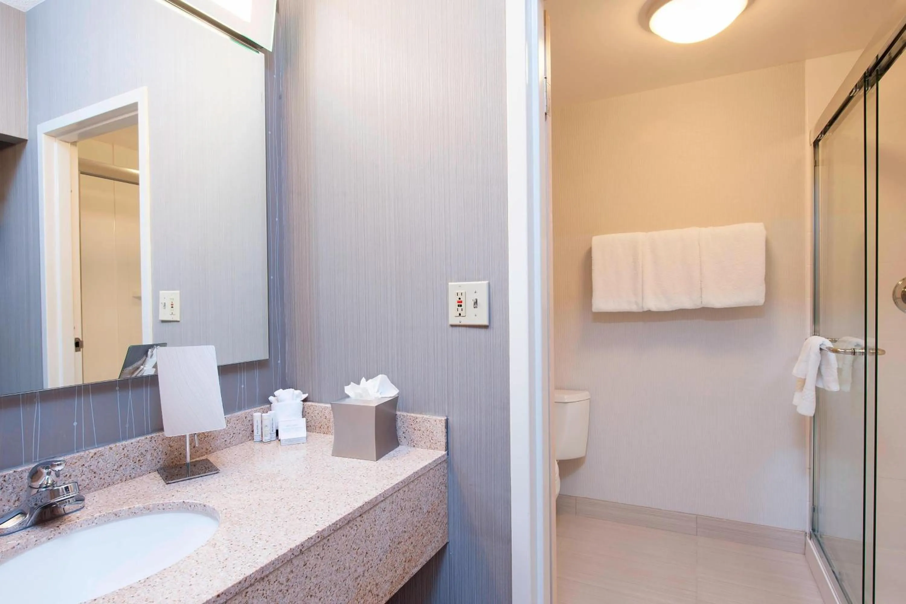 Bathroom in Courtyard Chicago Glenview/Northbrook