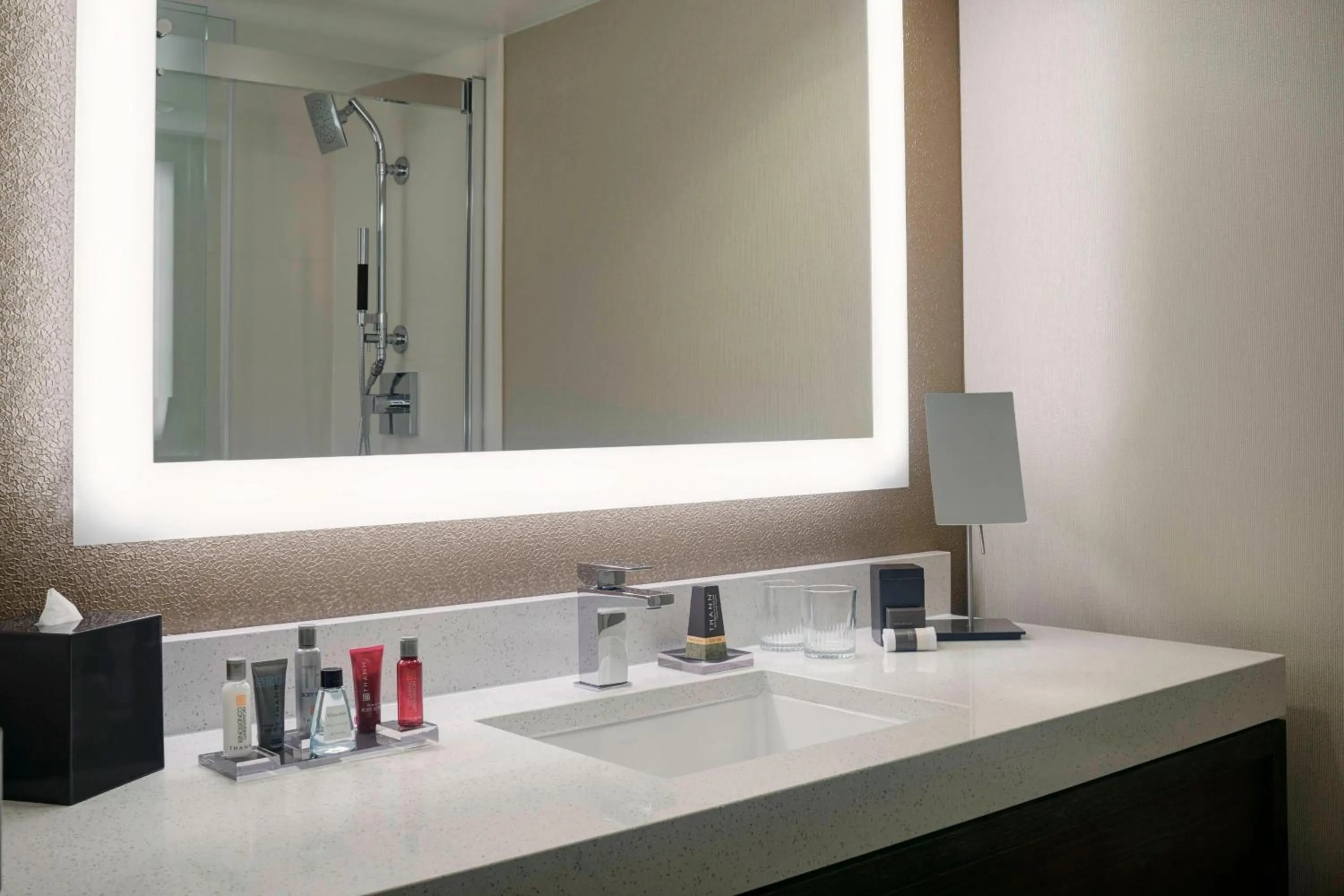 Bathroom in Chicago Marriott Southwest at Burr Ridge