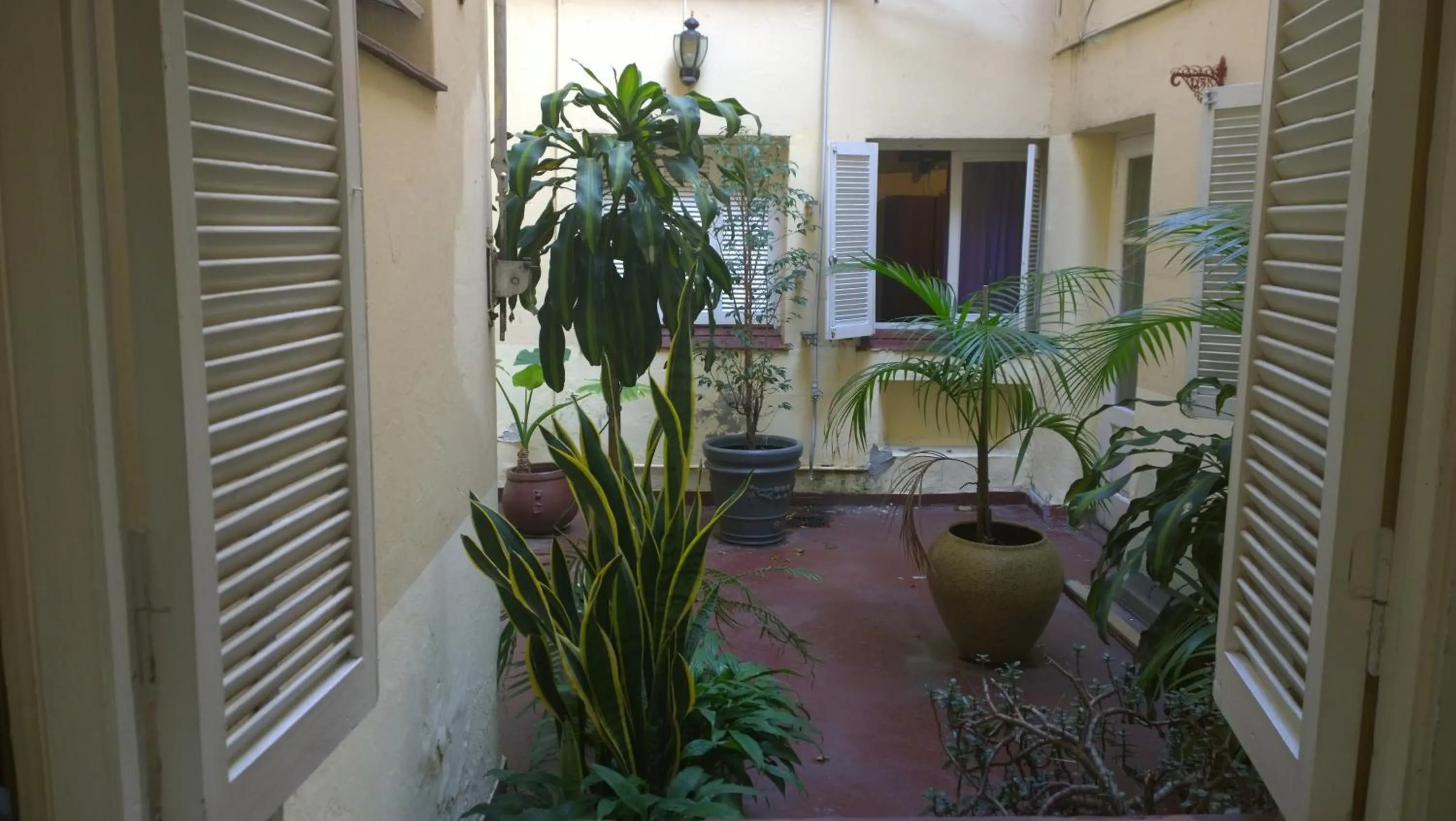 Garden in Koten Hotel