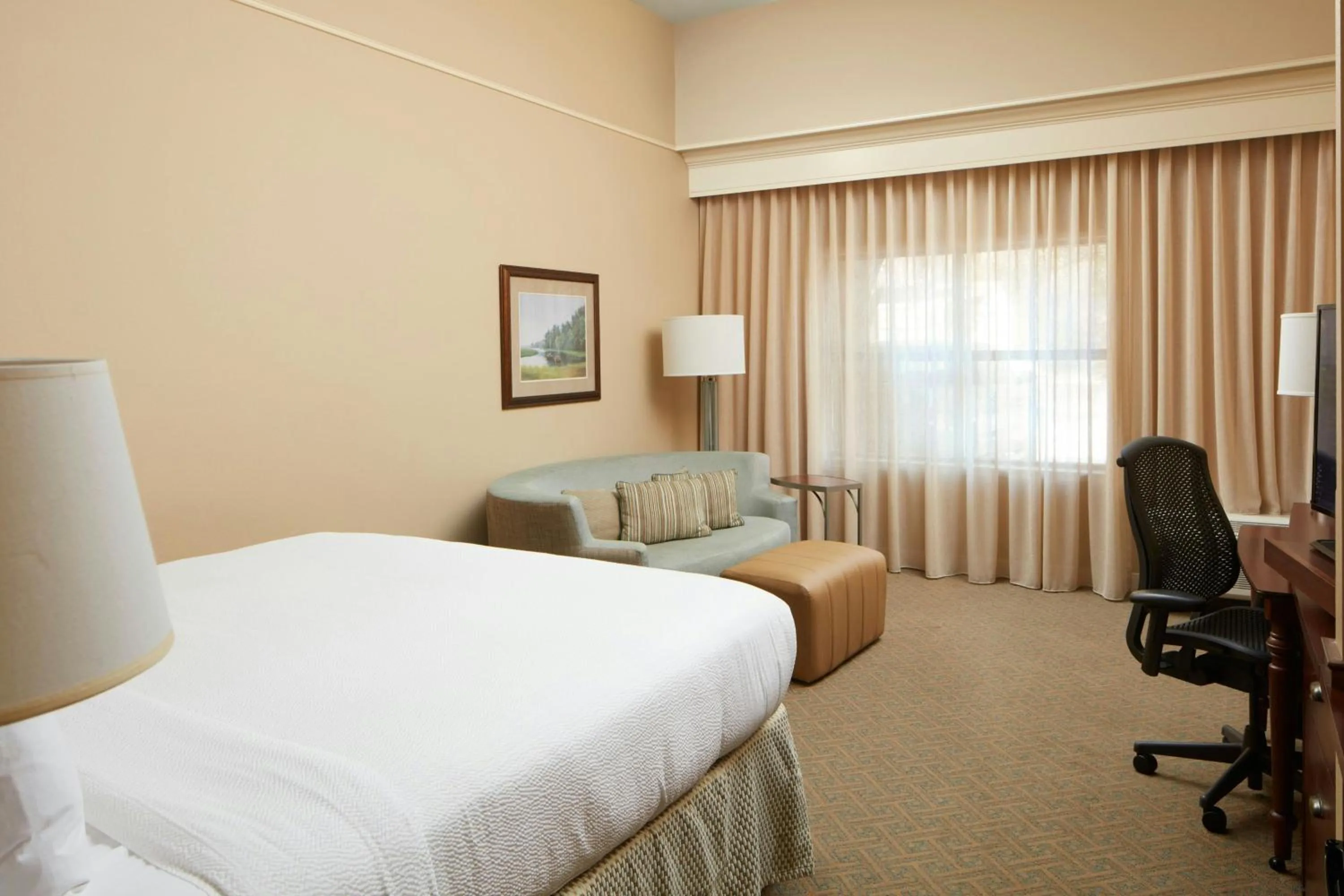 Photo of the whole room, Bed in Courtyard Charleston Mount Pleasant