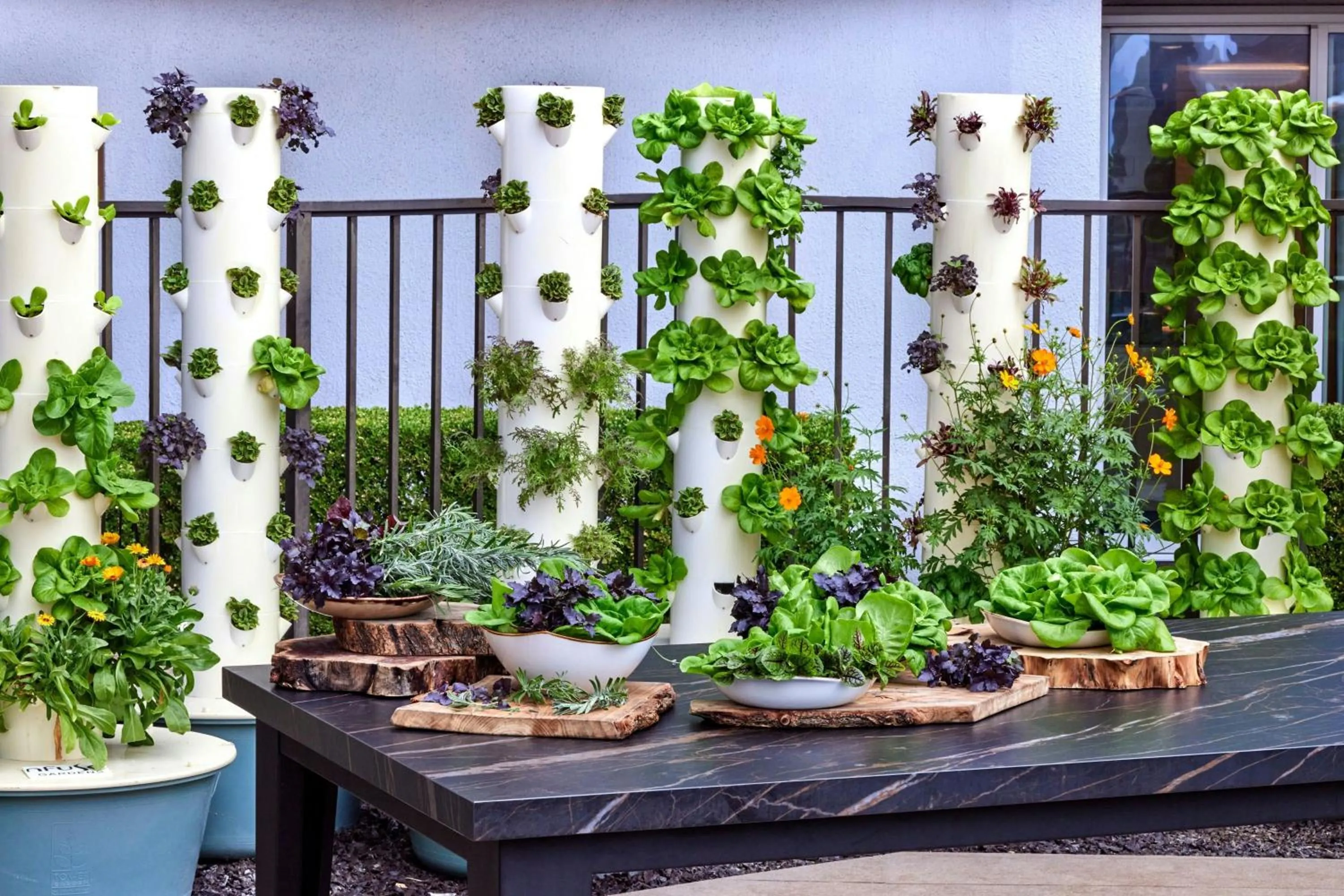 Restaurant/places to eat in Anaheim Marriott