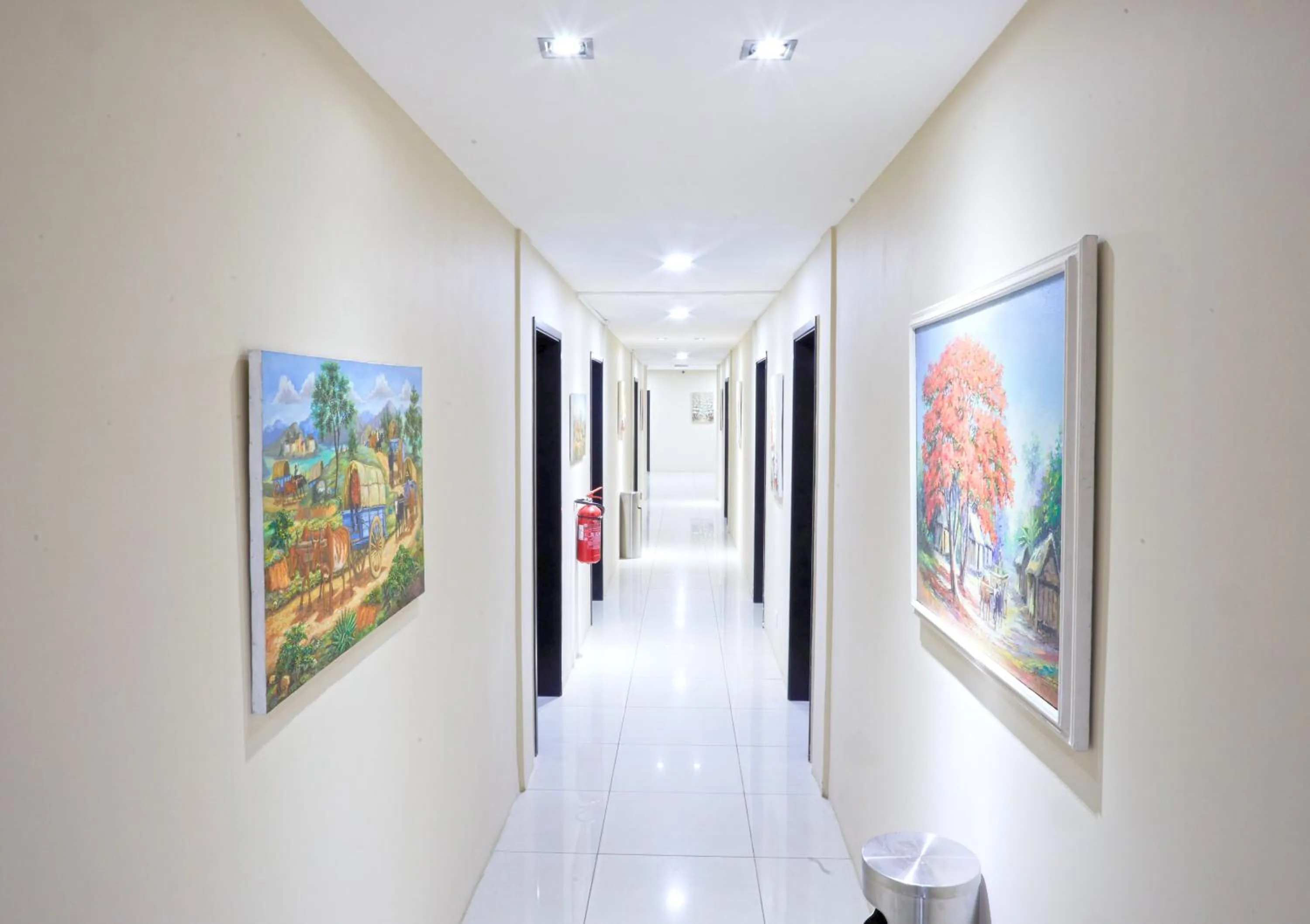 Area and facilities in San Cristobal Boutique Hotel - Ivato Airport