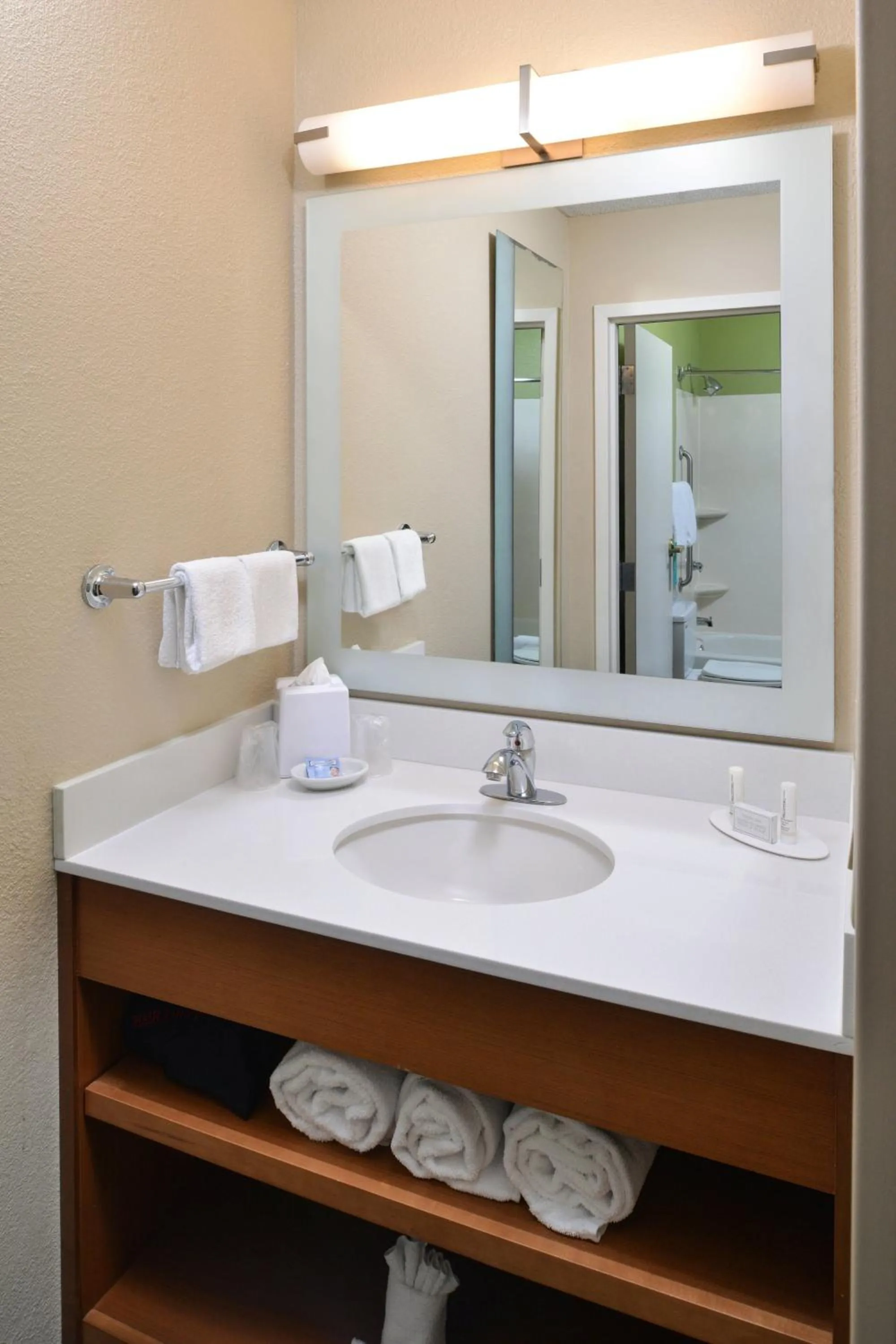 Bathroom in SpringHill Suites by Marriott Charleston Riverview