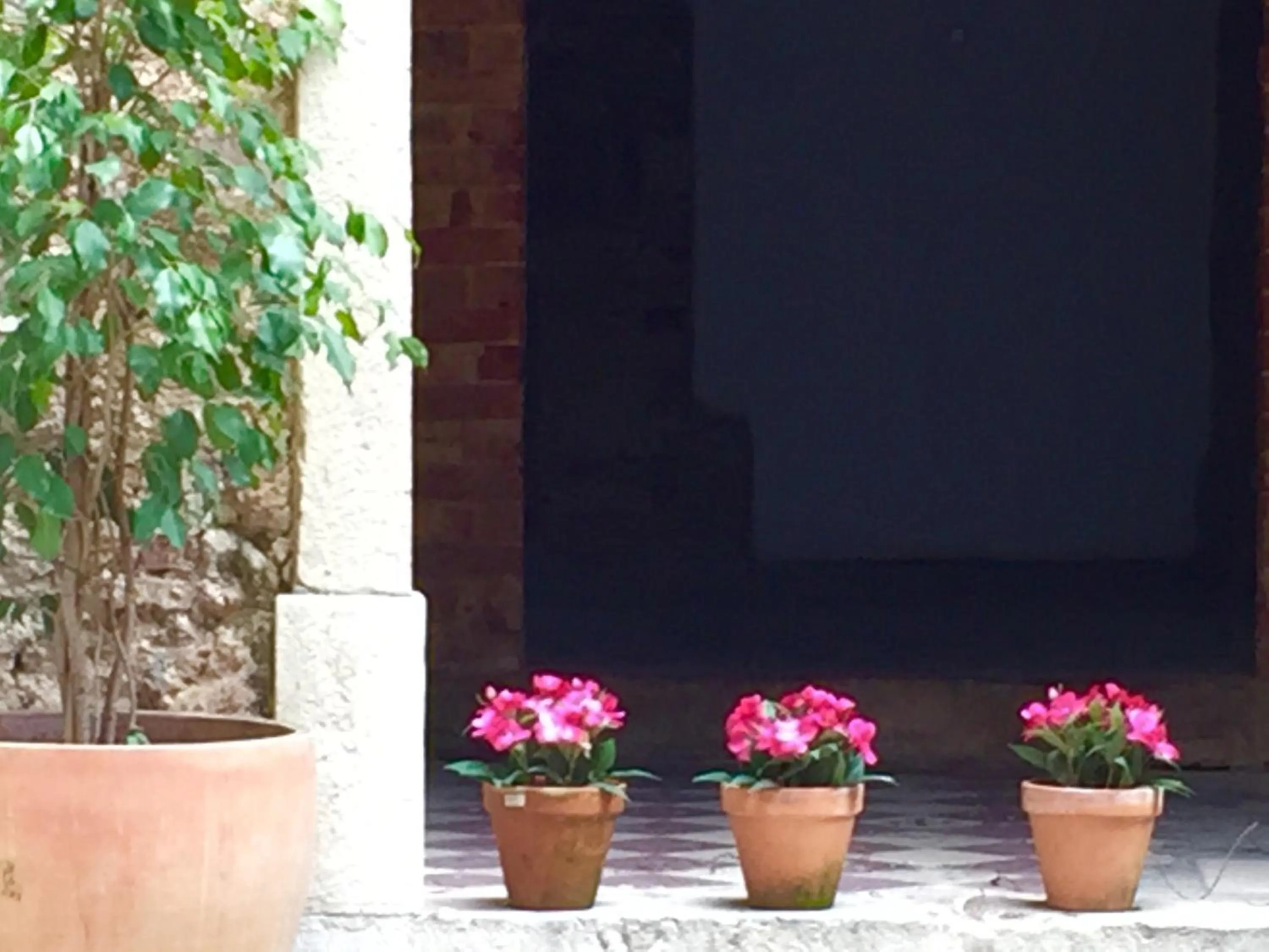 Patio in Lisbon Wine Hotel