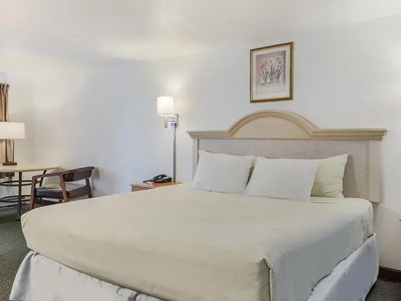 Bed in Americas Best Value Inn Hyannis Bed in Americas Best Value Inn Hyannis