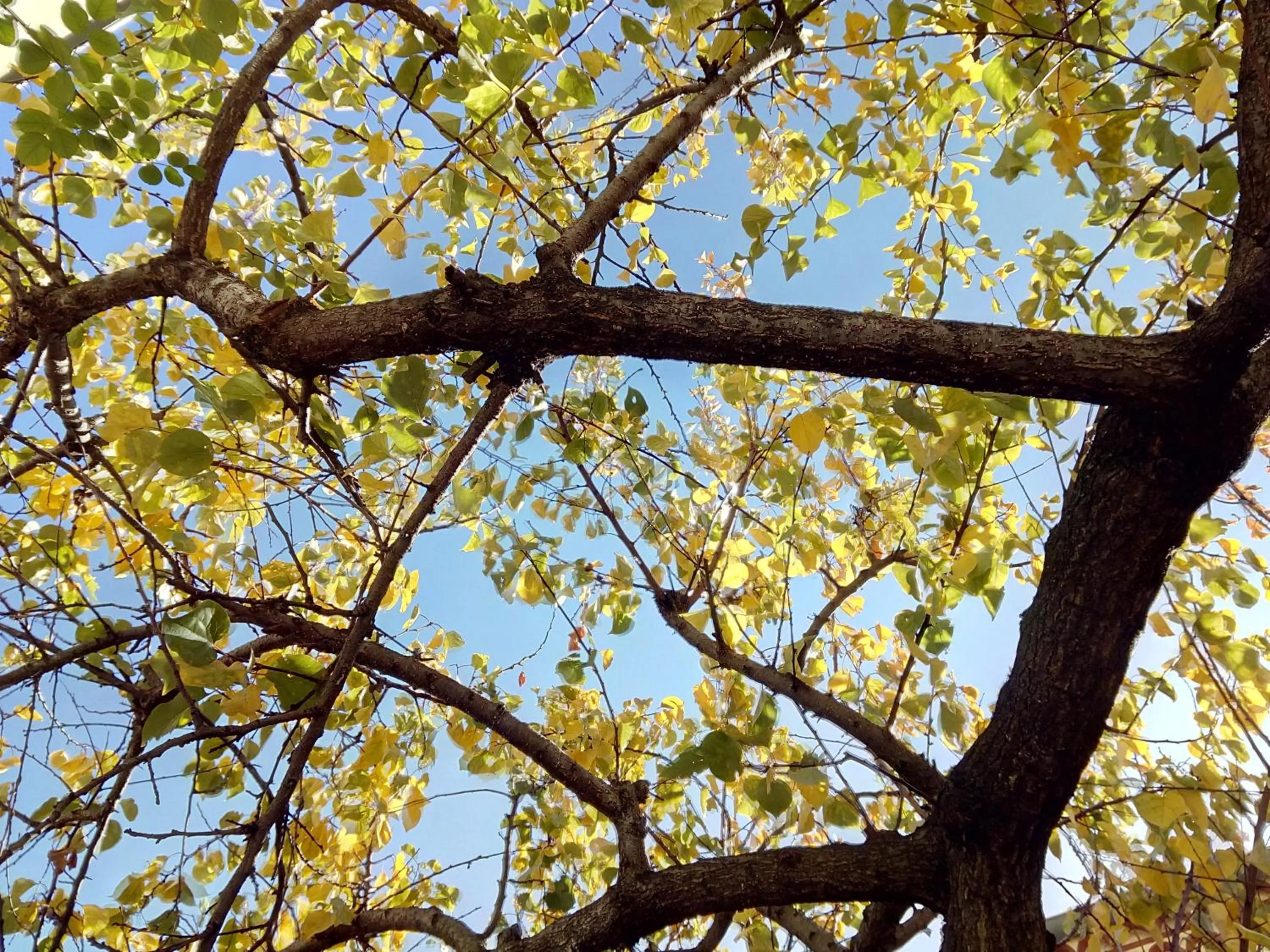 View (from property/room) in Patrick&Pierre Bed and Breakfast Nîmes