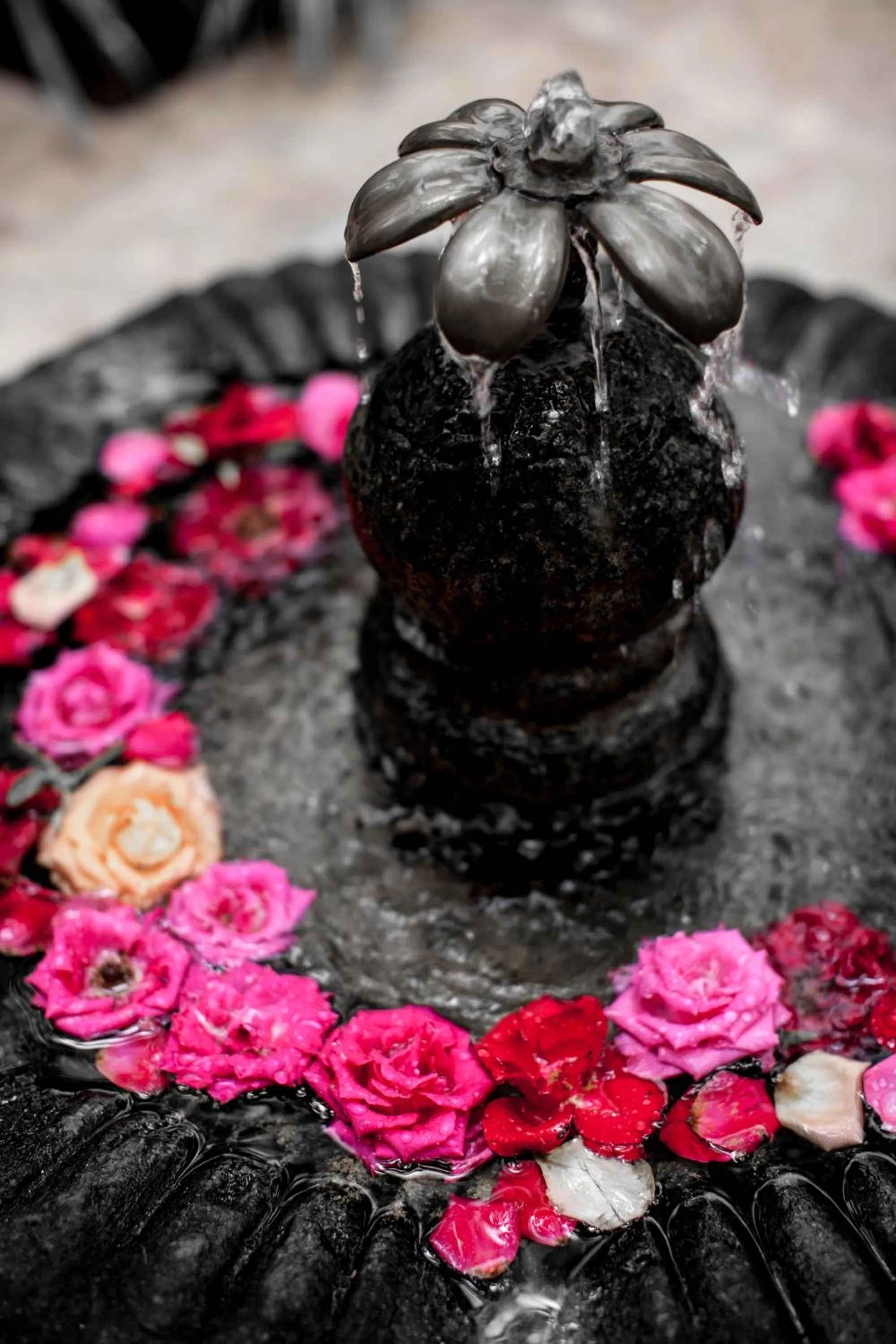 Property building in Riad Houdou