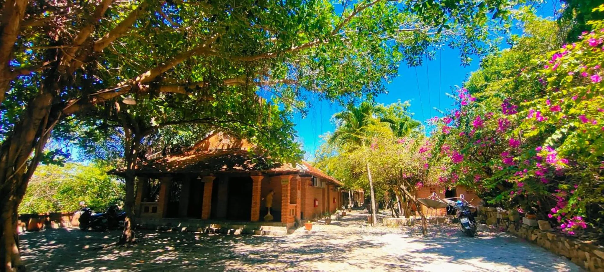 Natural landscape in Wild Beach Boutique Resort