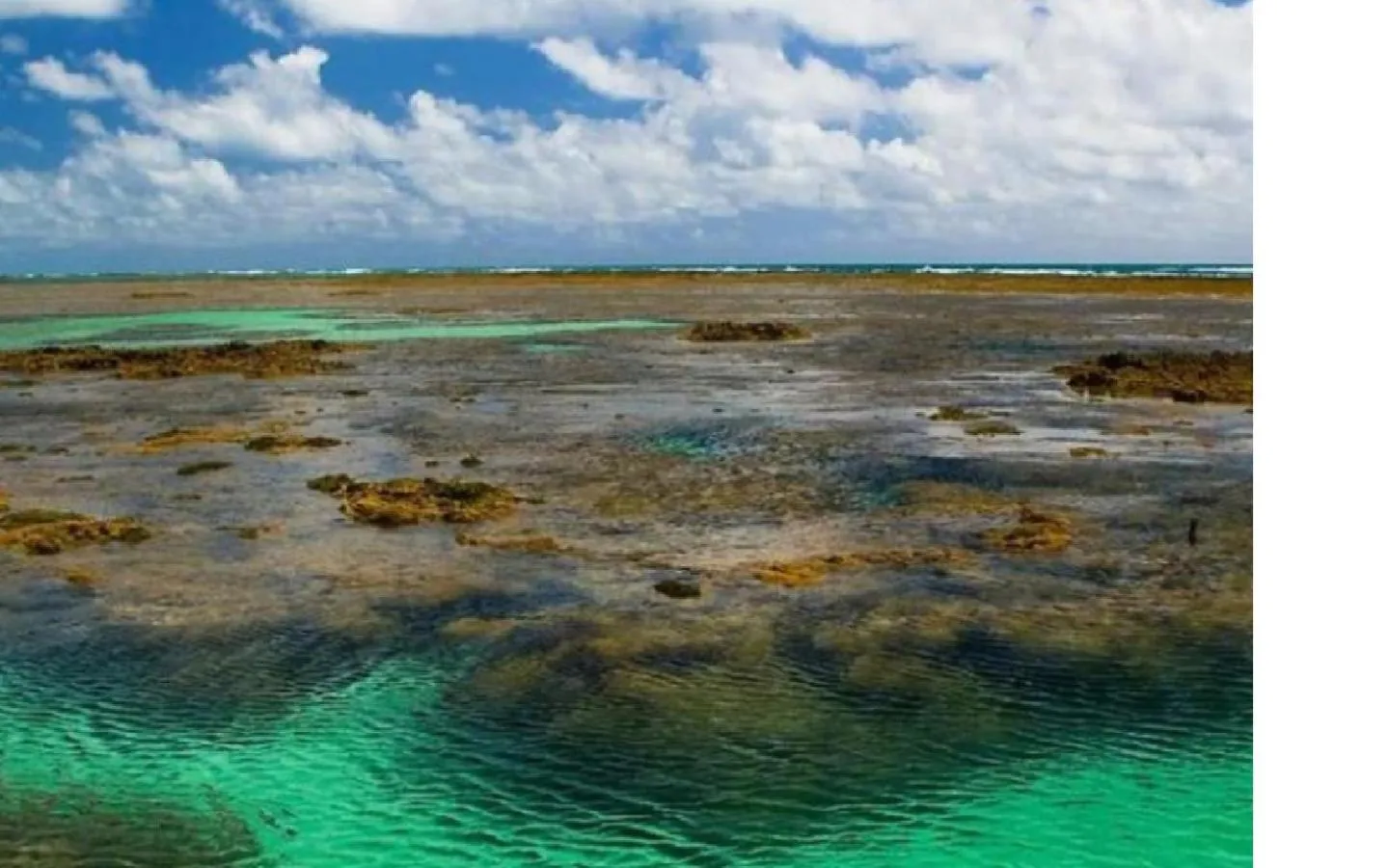 Beach in Pousada Solar Dos Carneiros
