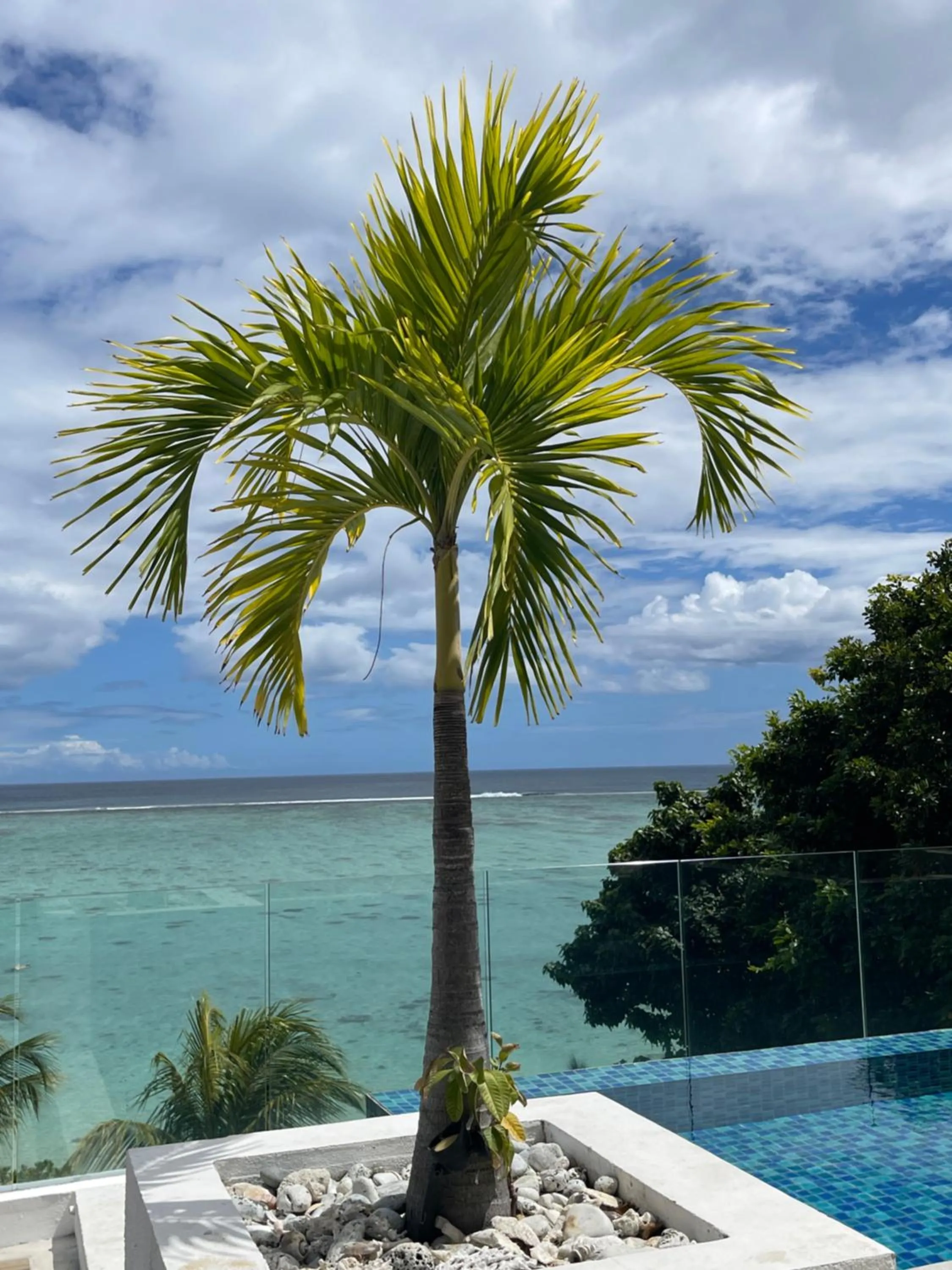 Cap Ouest Beachfront Luxury Penthouse & Apartment