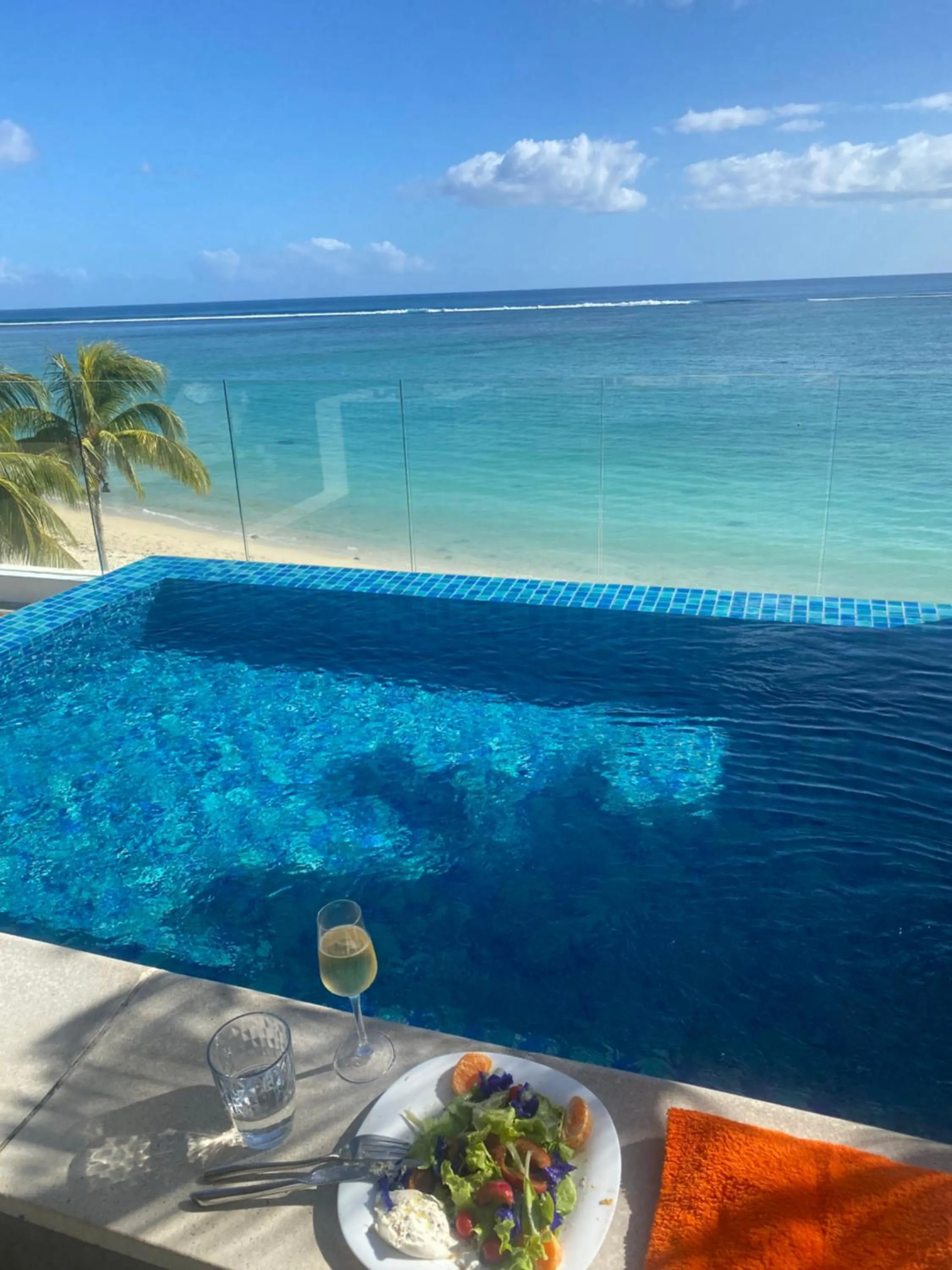 Cap Ouest Beachfront Luxury Penthouse & Apartment