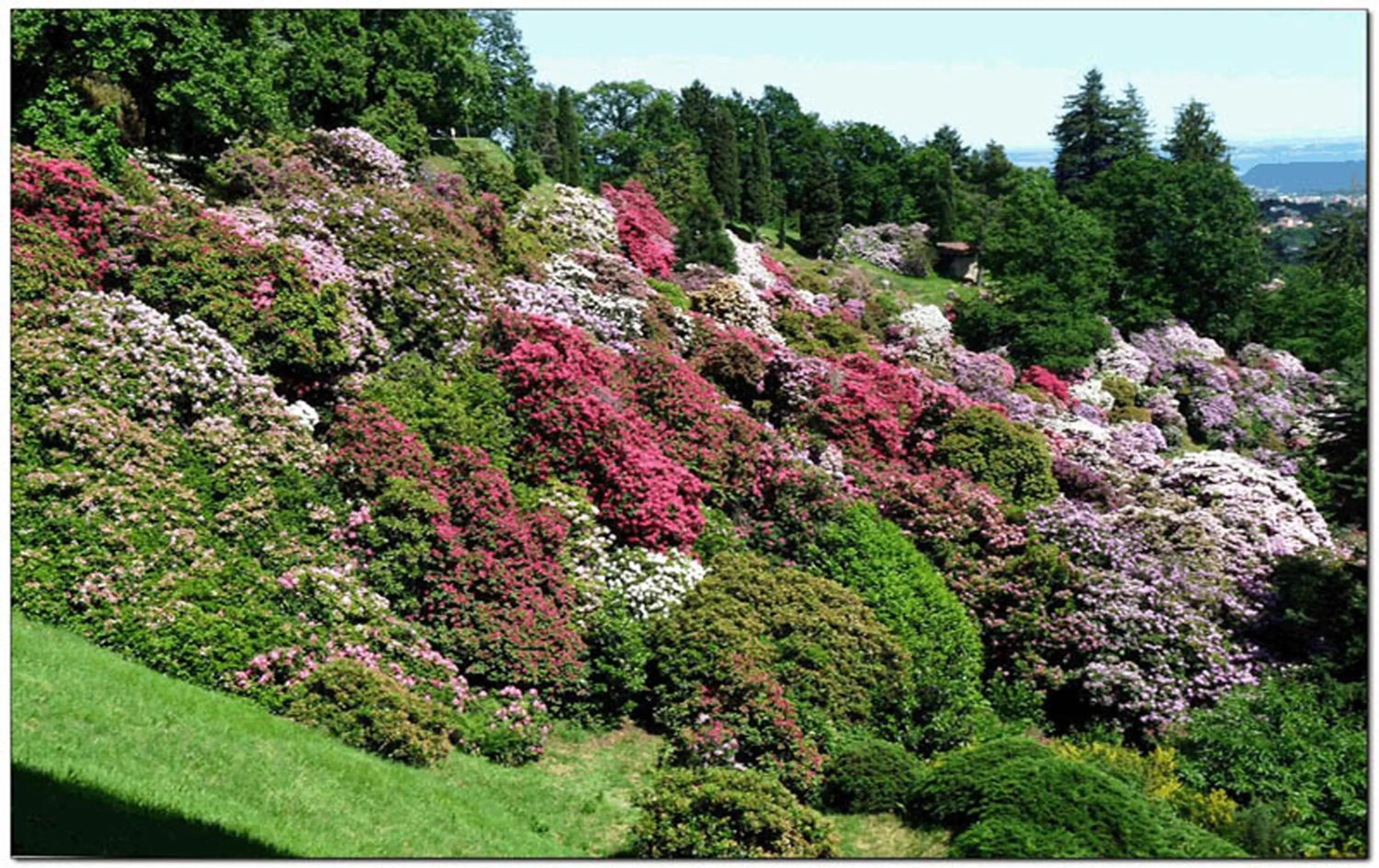 Nearby landmark in Hotel Michelangelo