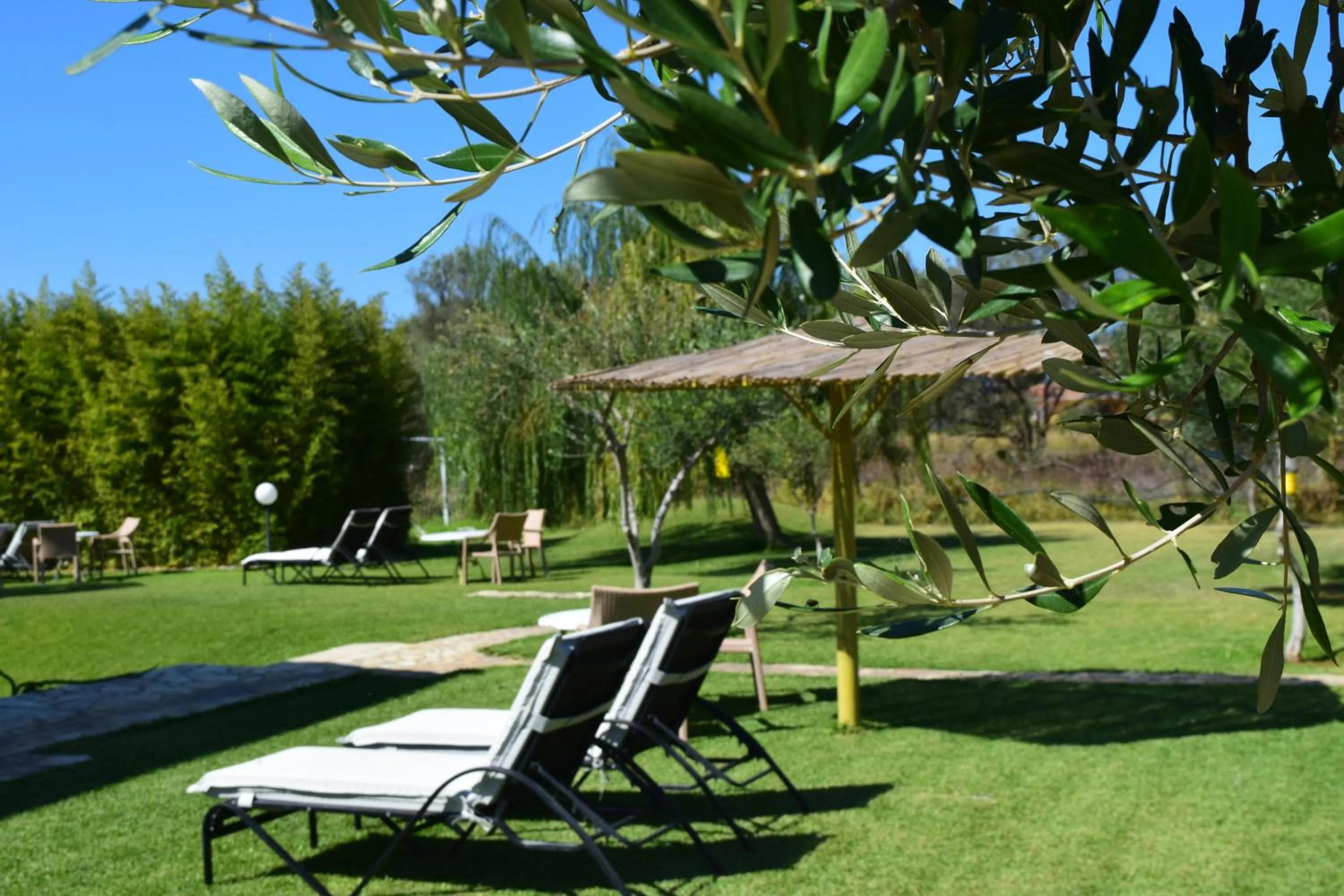 Garden in Simatos αpARTments & Studios