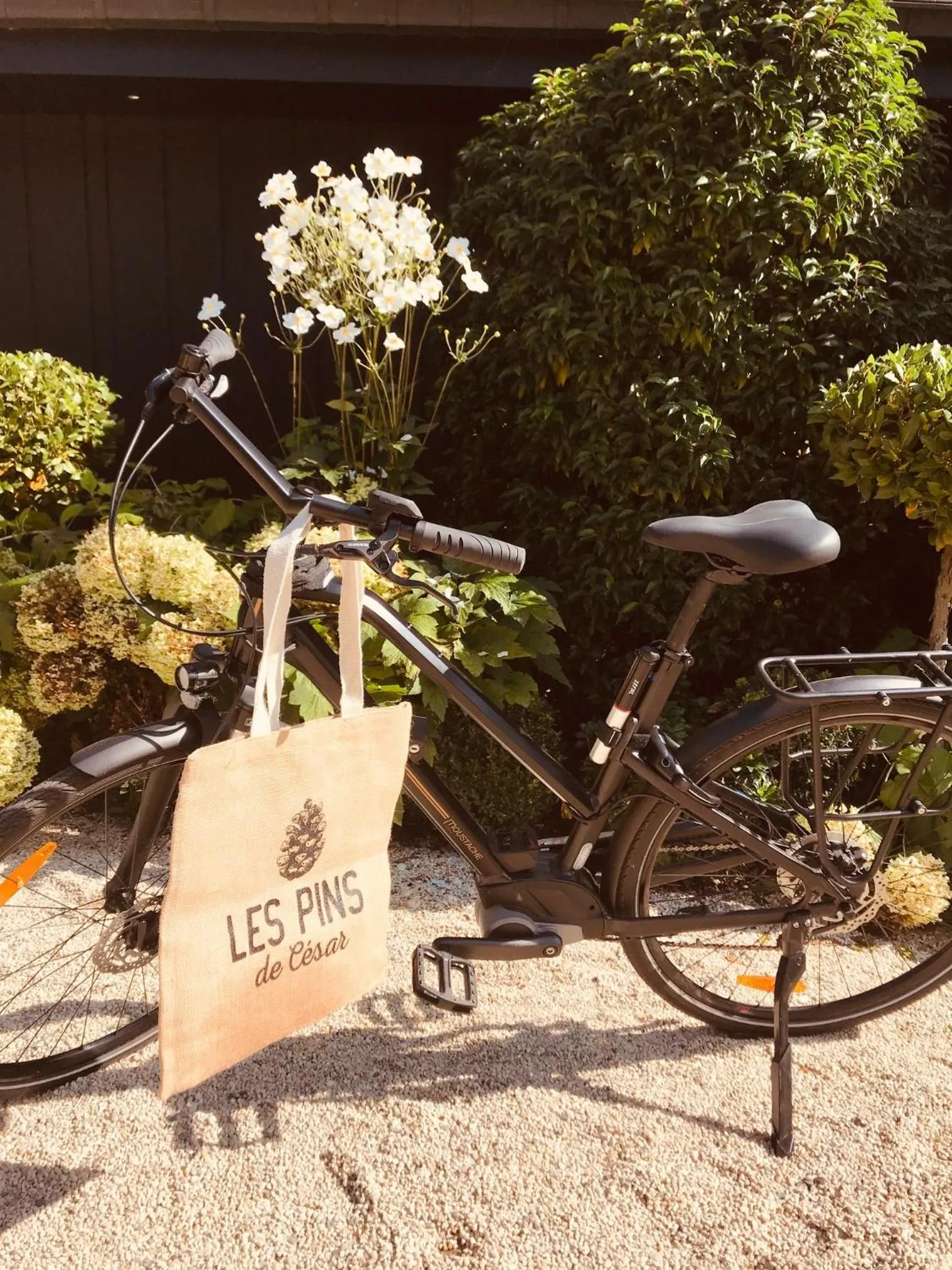 Cycling in Les Pins de César - La campagne d'Etretat