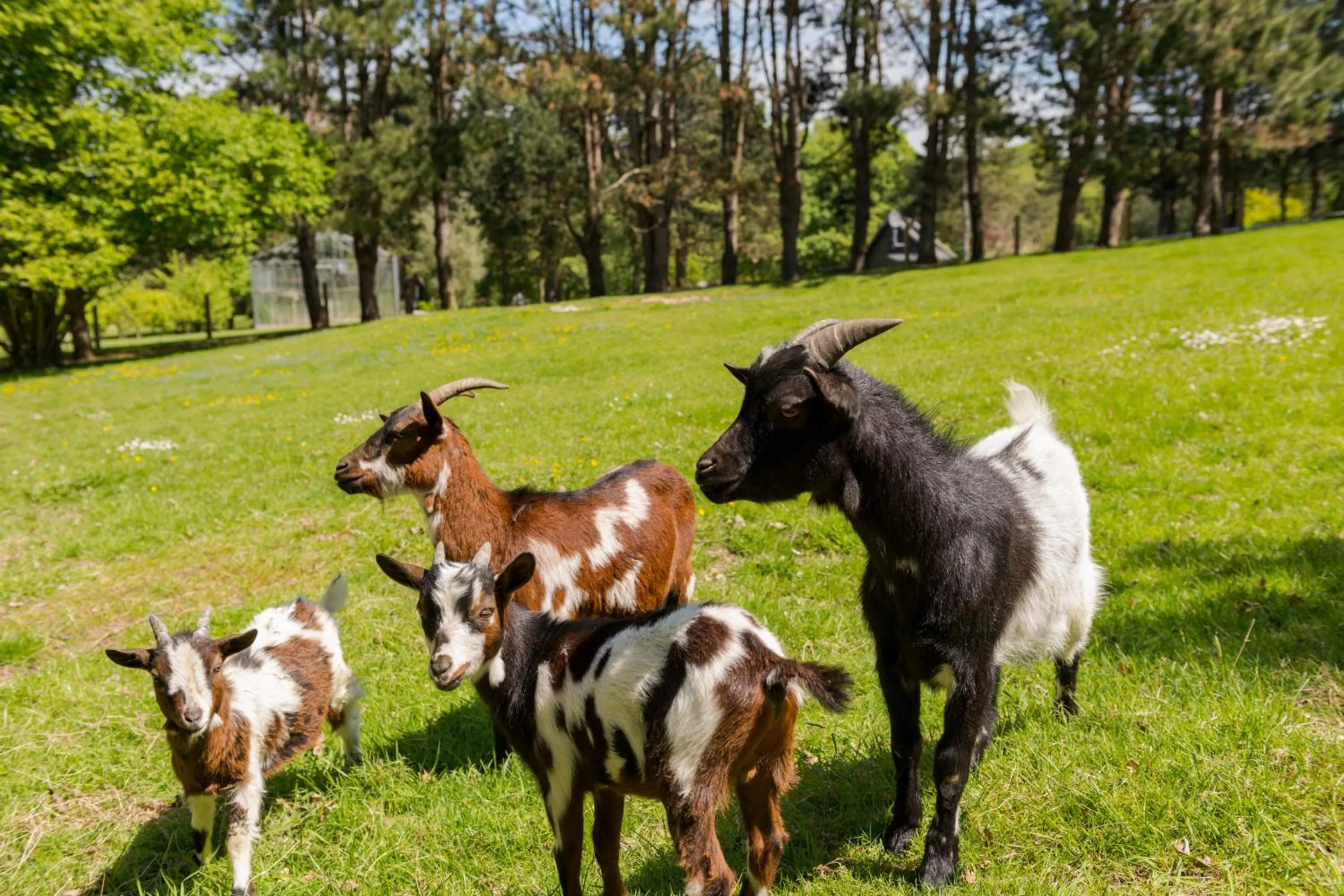 Garden in Les Pins de César - La campagne d'Etretat