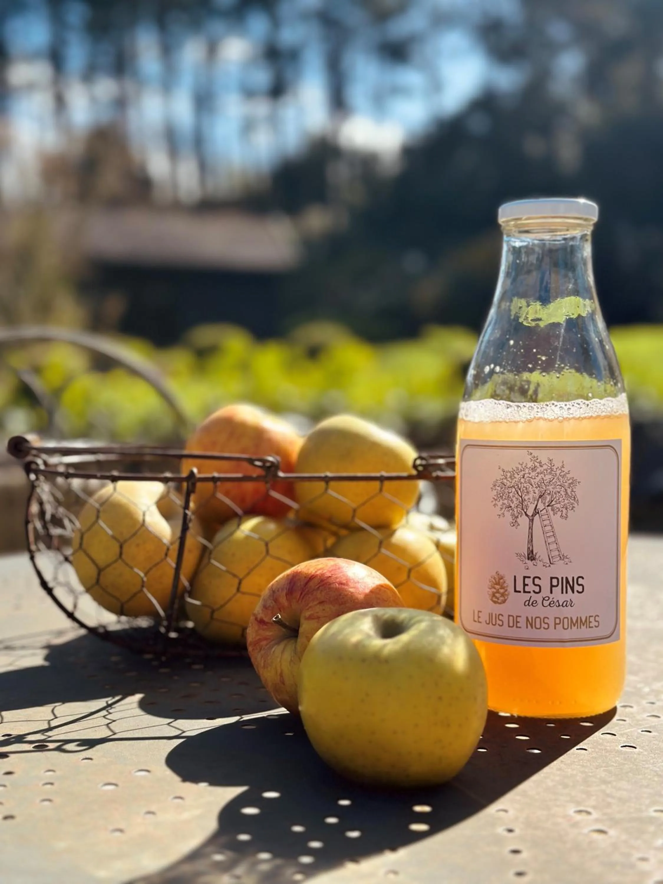 Breakfast in Les Pins de César - La campagne d'Etretat