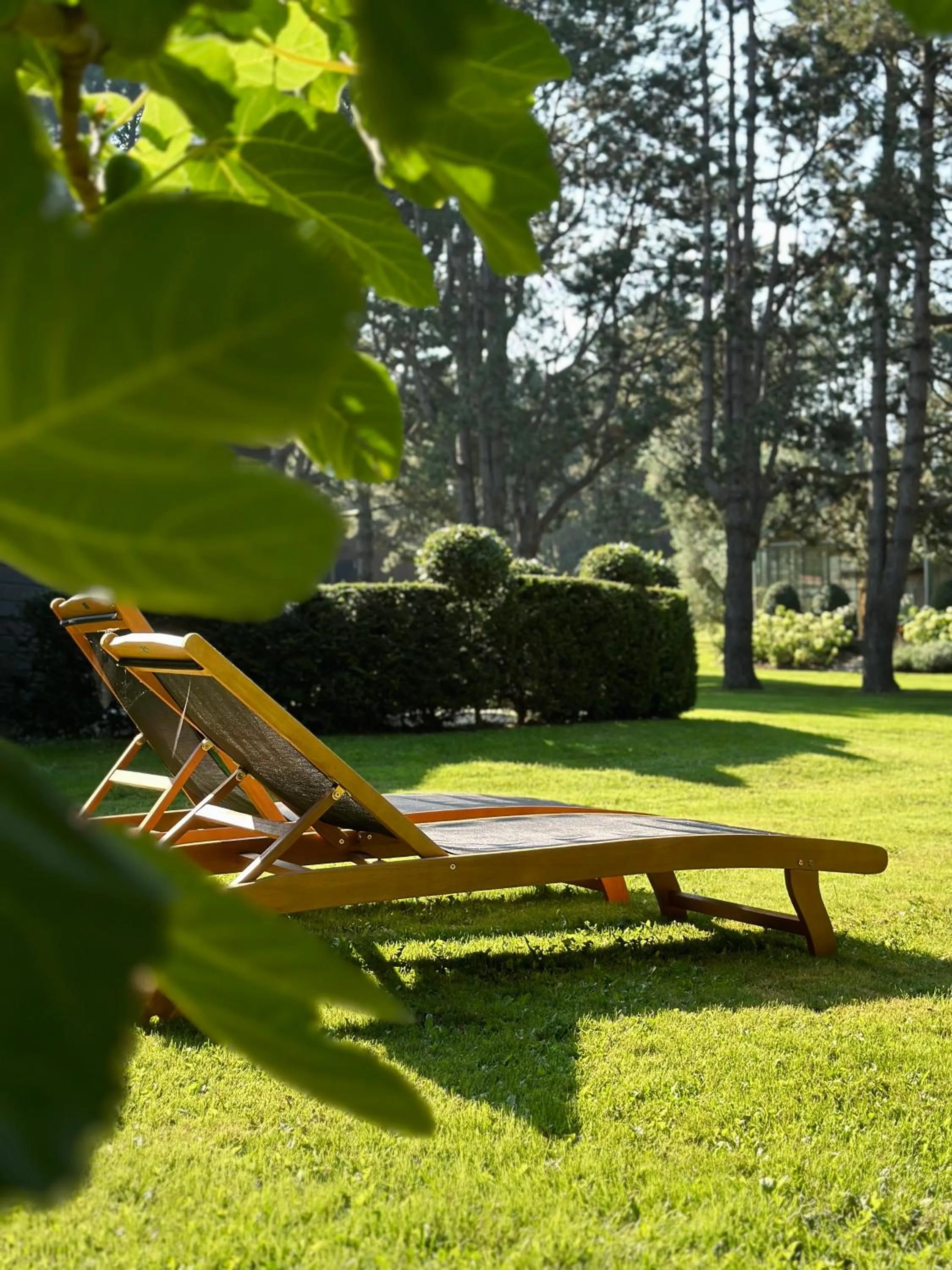 Garden in Les Pins de César - La campagne d'Etretat