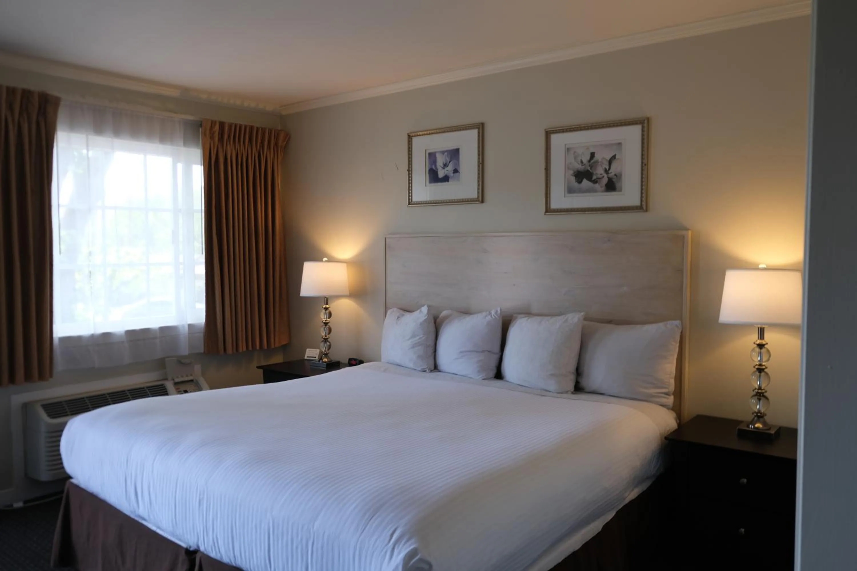 Bed in Golden Haven Hot Springs