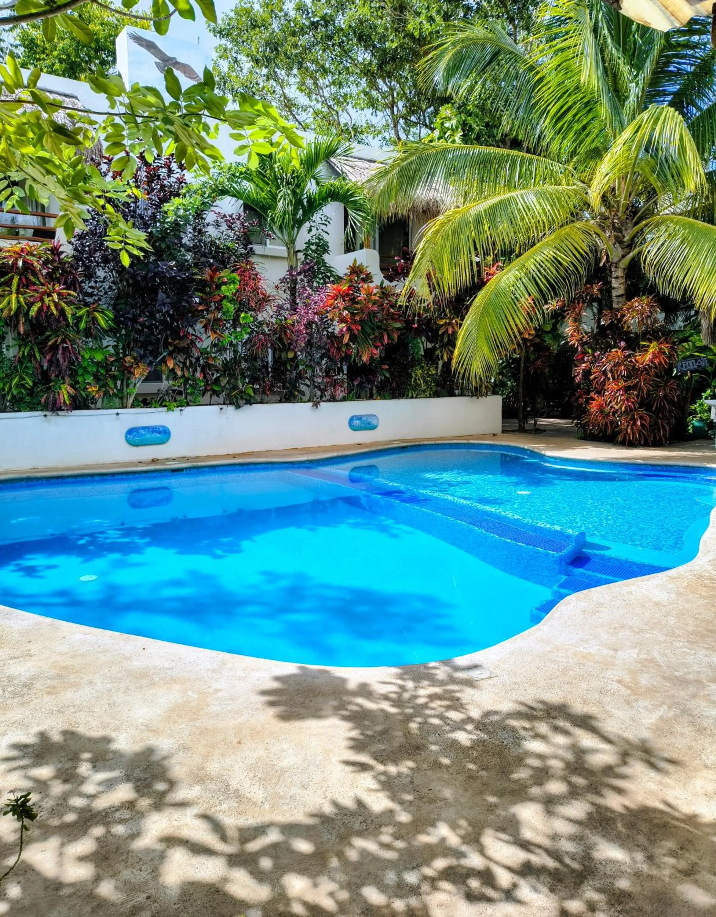 Swimming pool in Hotel & Suites Oasis Bacalar
