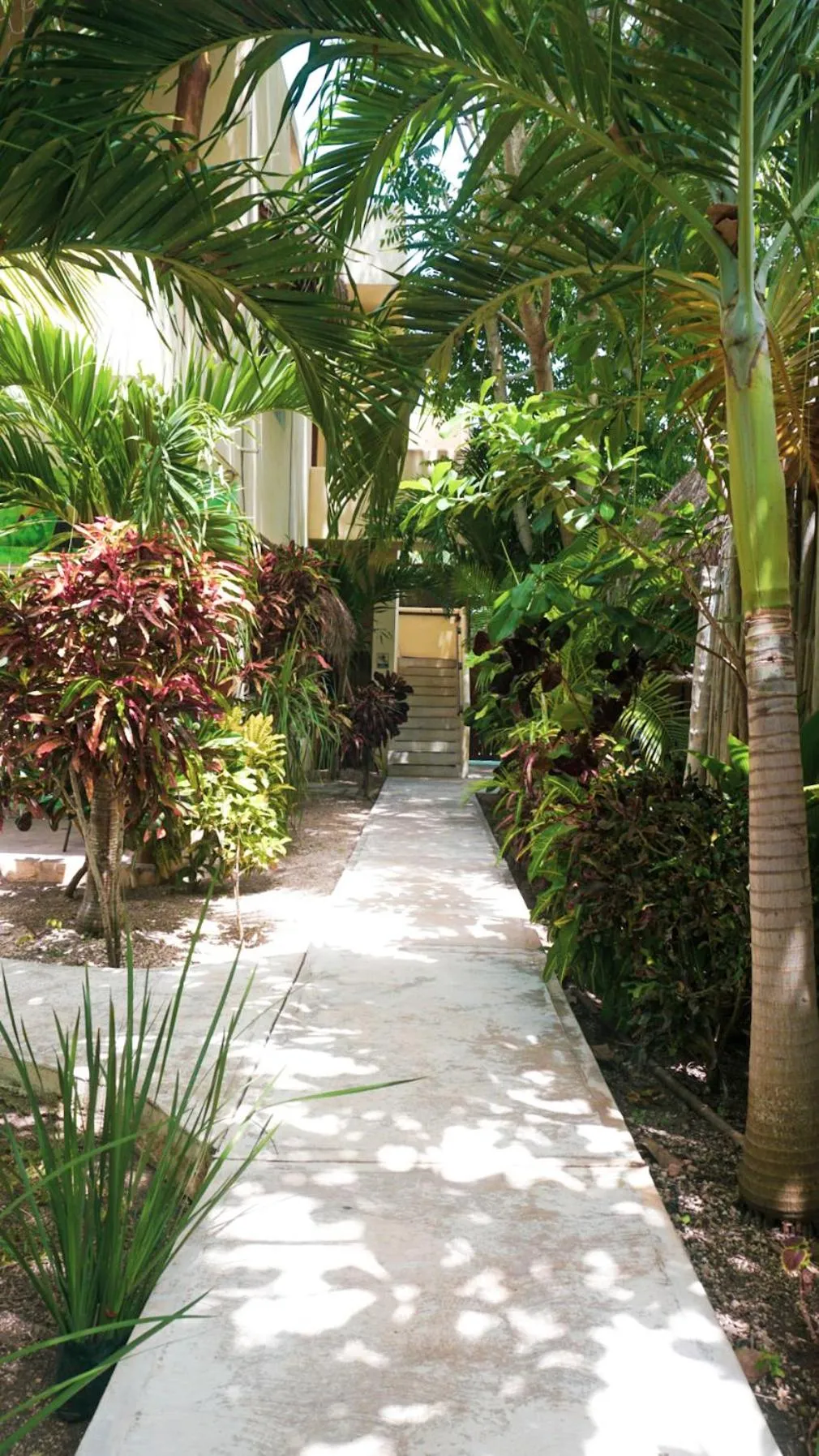 Facade/entrance in Hotel & Suites Oasis Bacalar