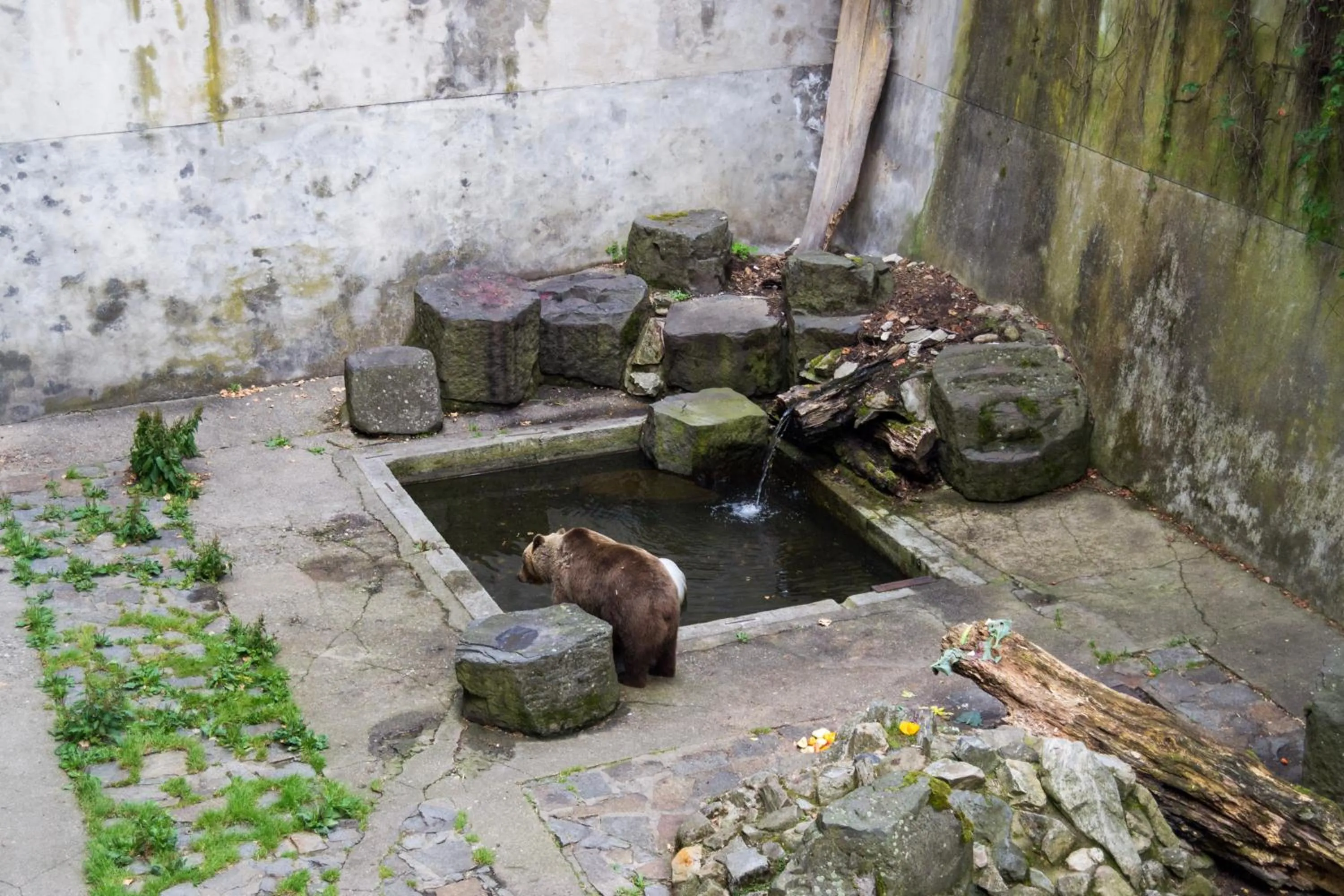 Nearby landmark in B&B Krumlov