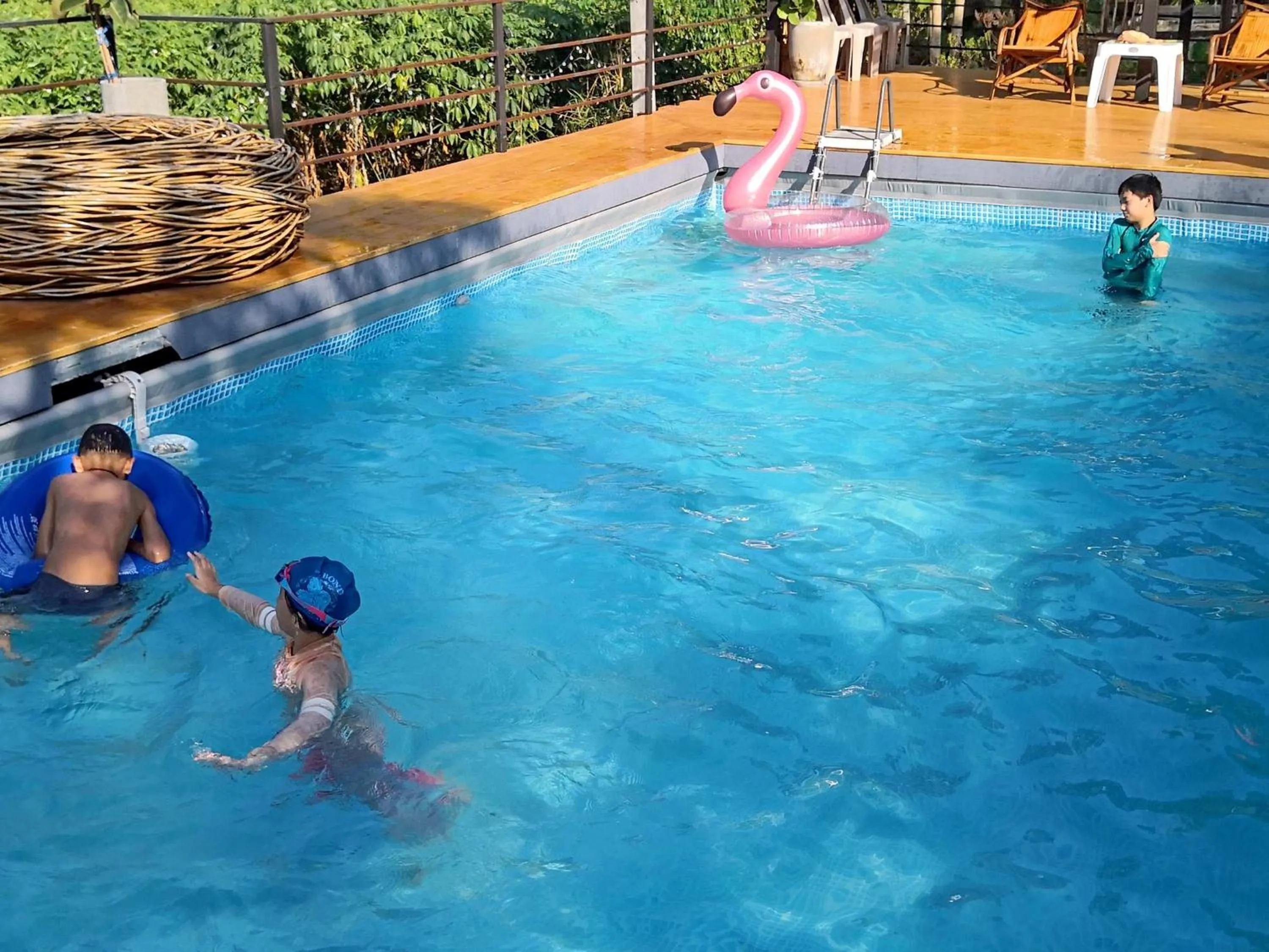 Swimming pool in Tantai Eco Farm Stay At Khao Yai