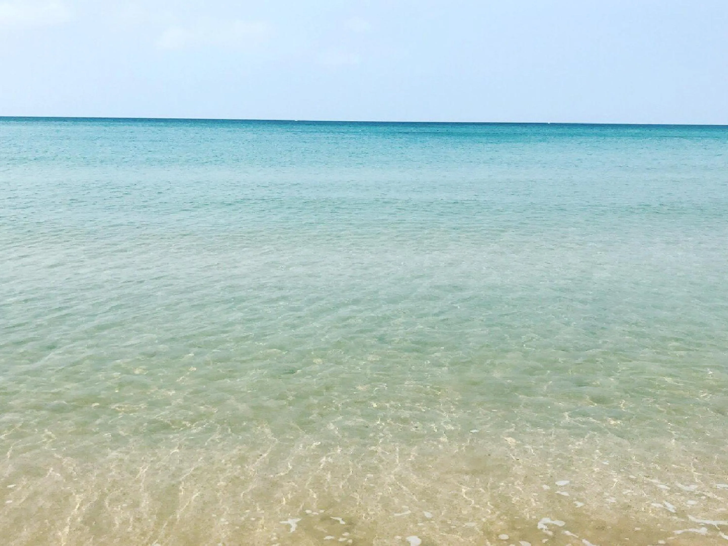 Beach in Sea Breeze 1987