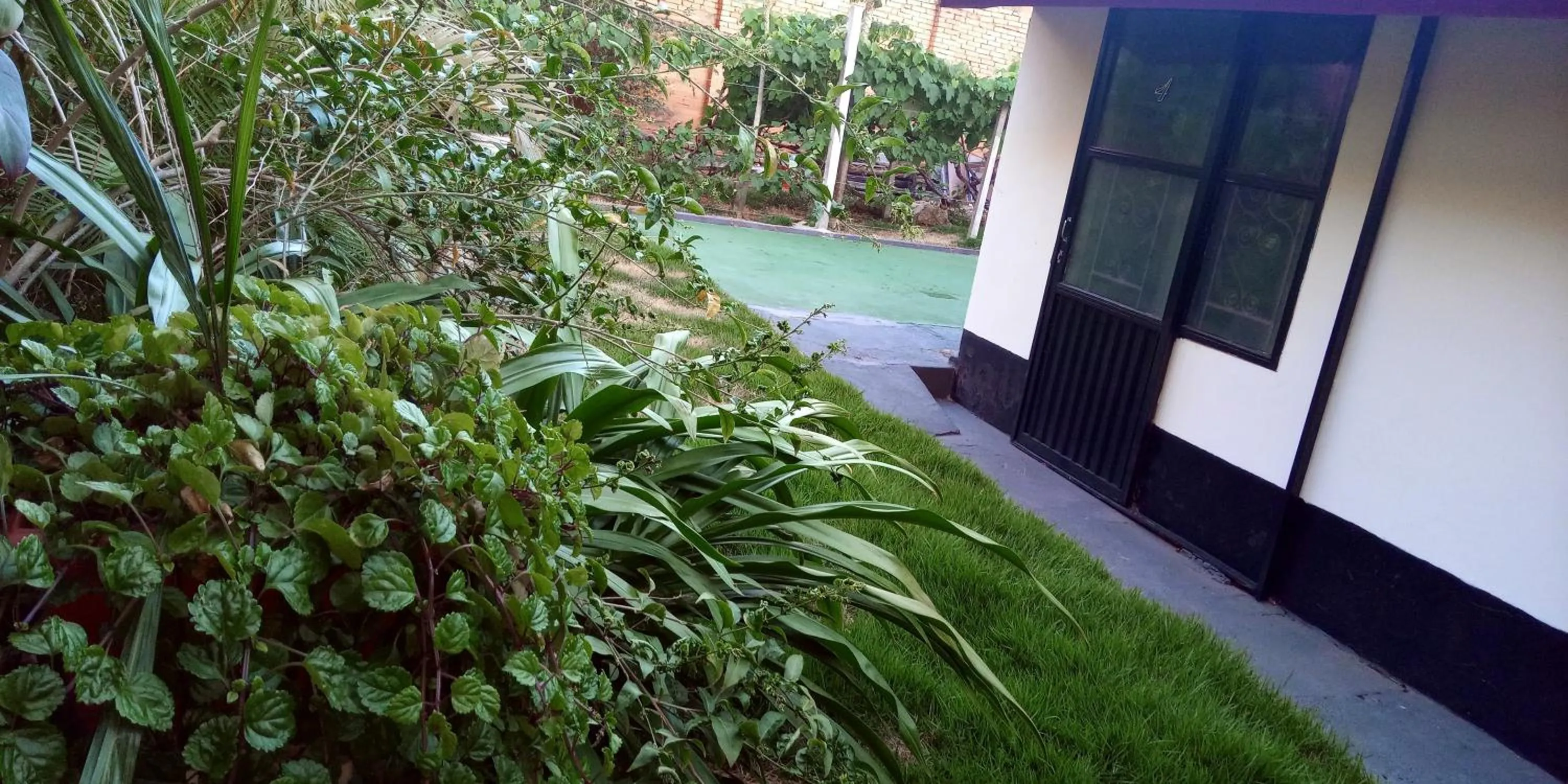 Garden view in Pousada Danza - Centro
