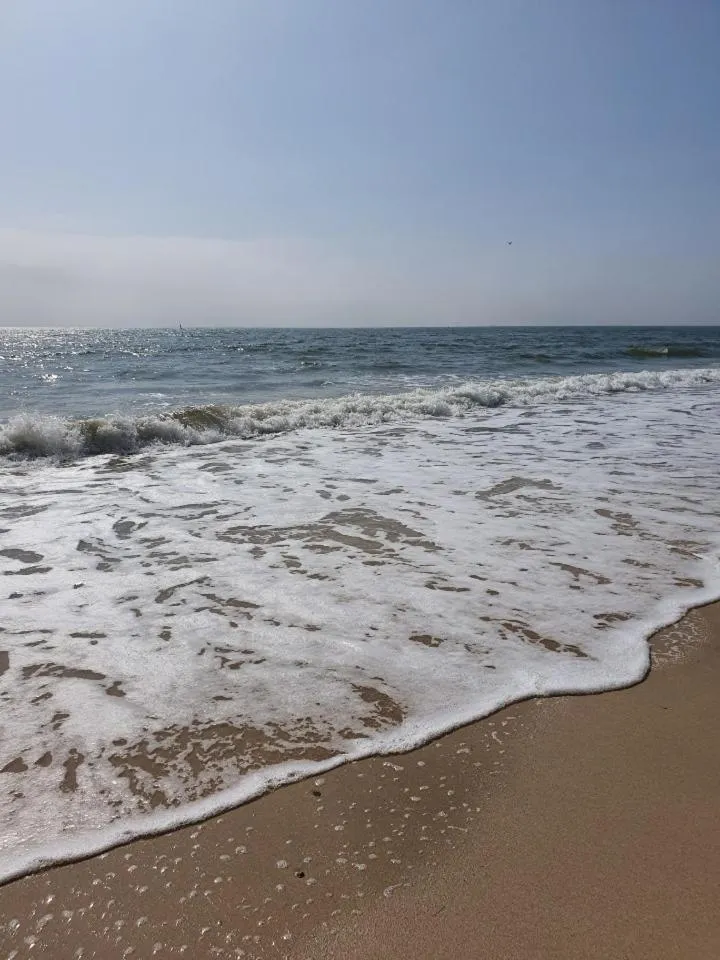 Natural landscape in Hotel Wooyeon Flora