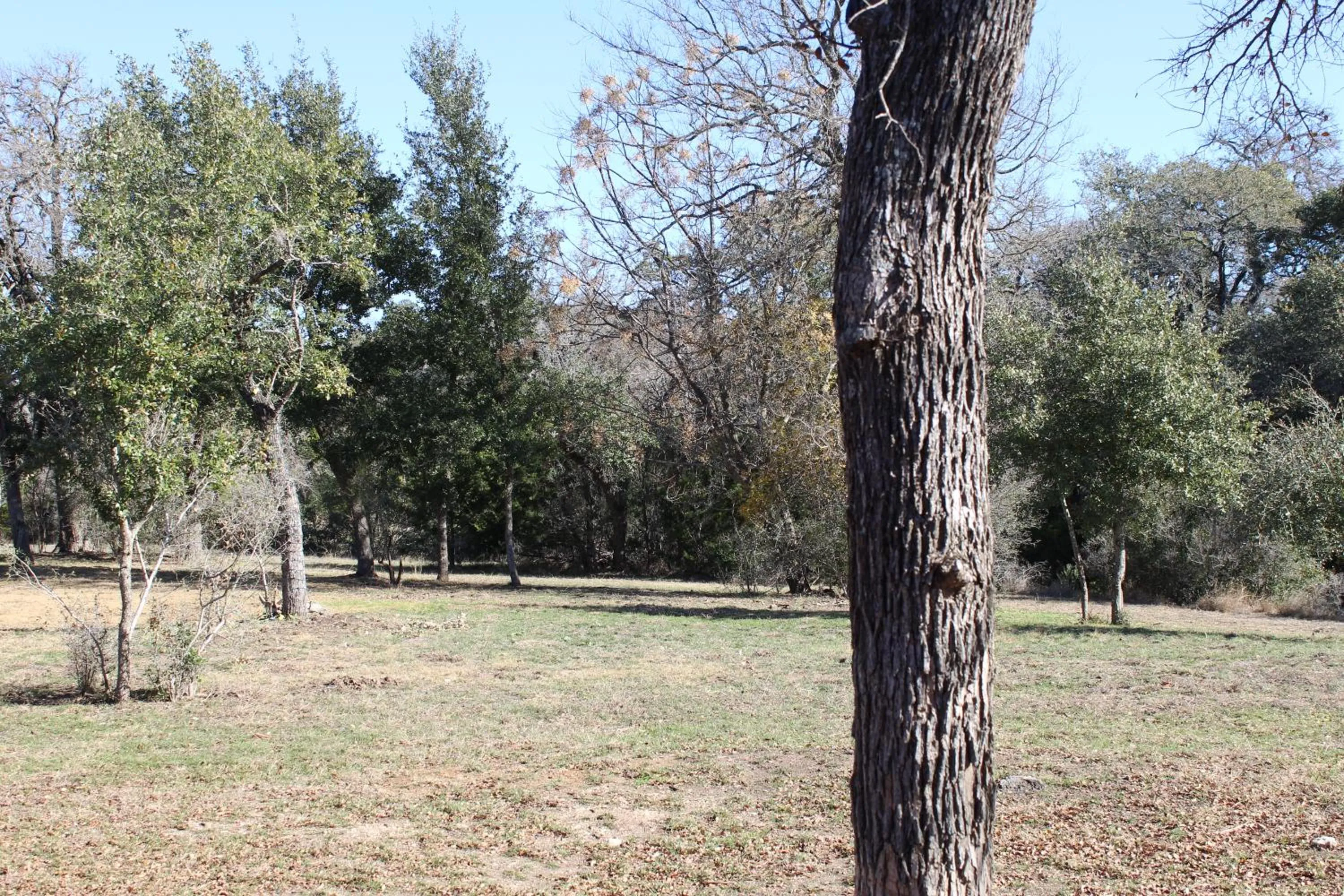 View (from property/room) in Al's Hideaway Cabin and RV Space, LLC