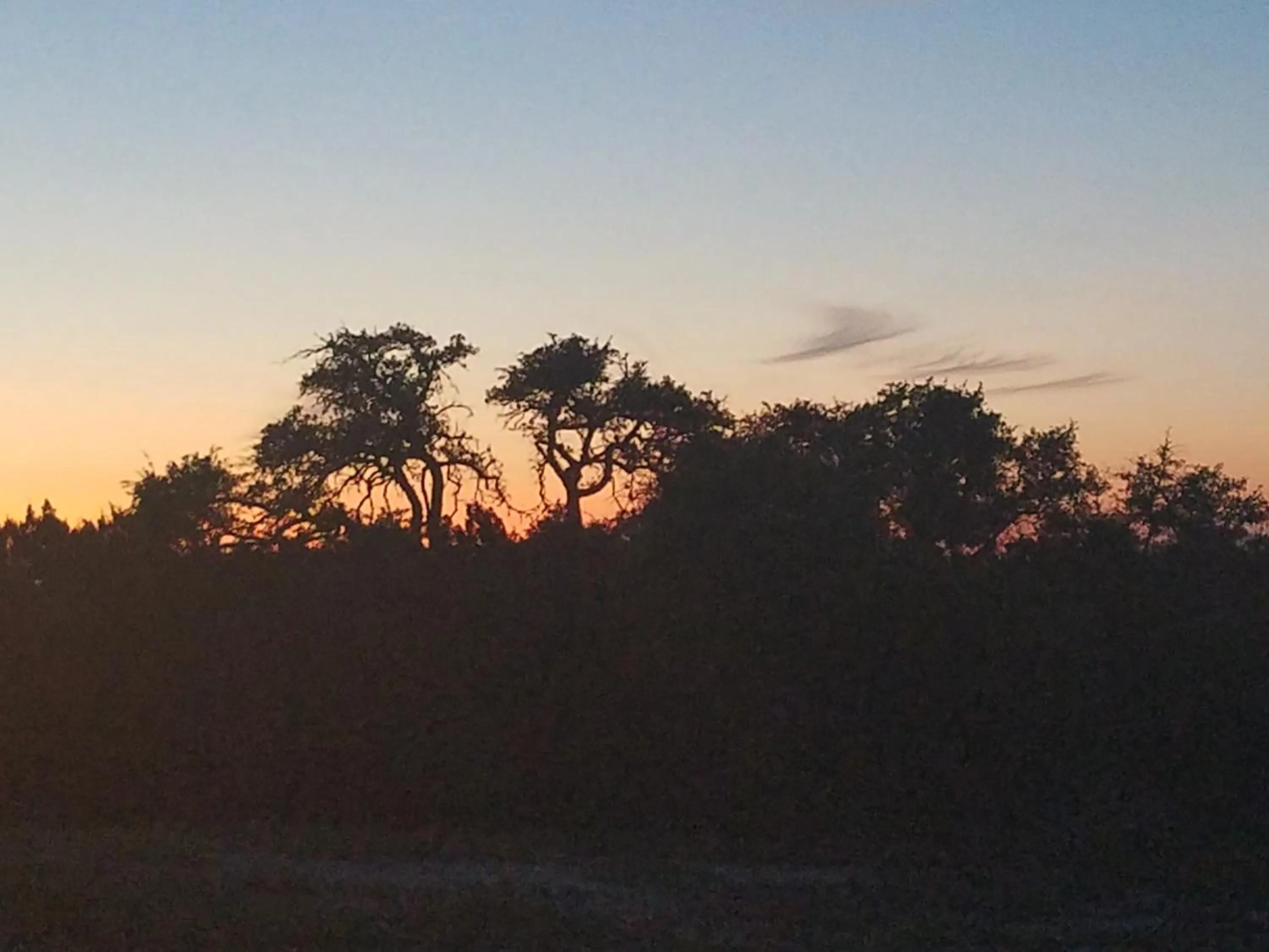 Natural landscape in Al's Hideaway Cabin and RV Space, LLC