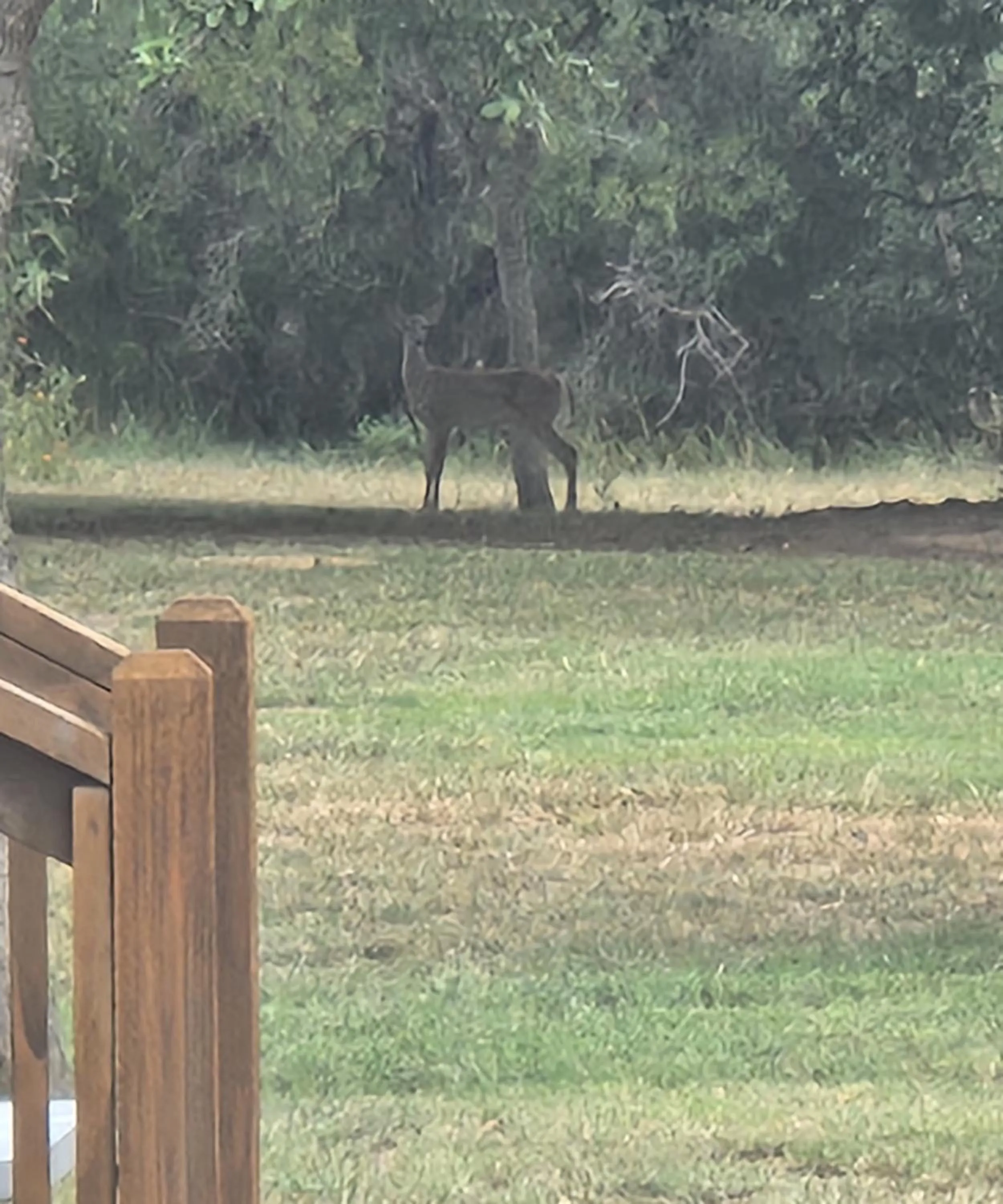 Inner courtyard view in Al's Hideaway Cabin and RV Space, LLC