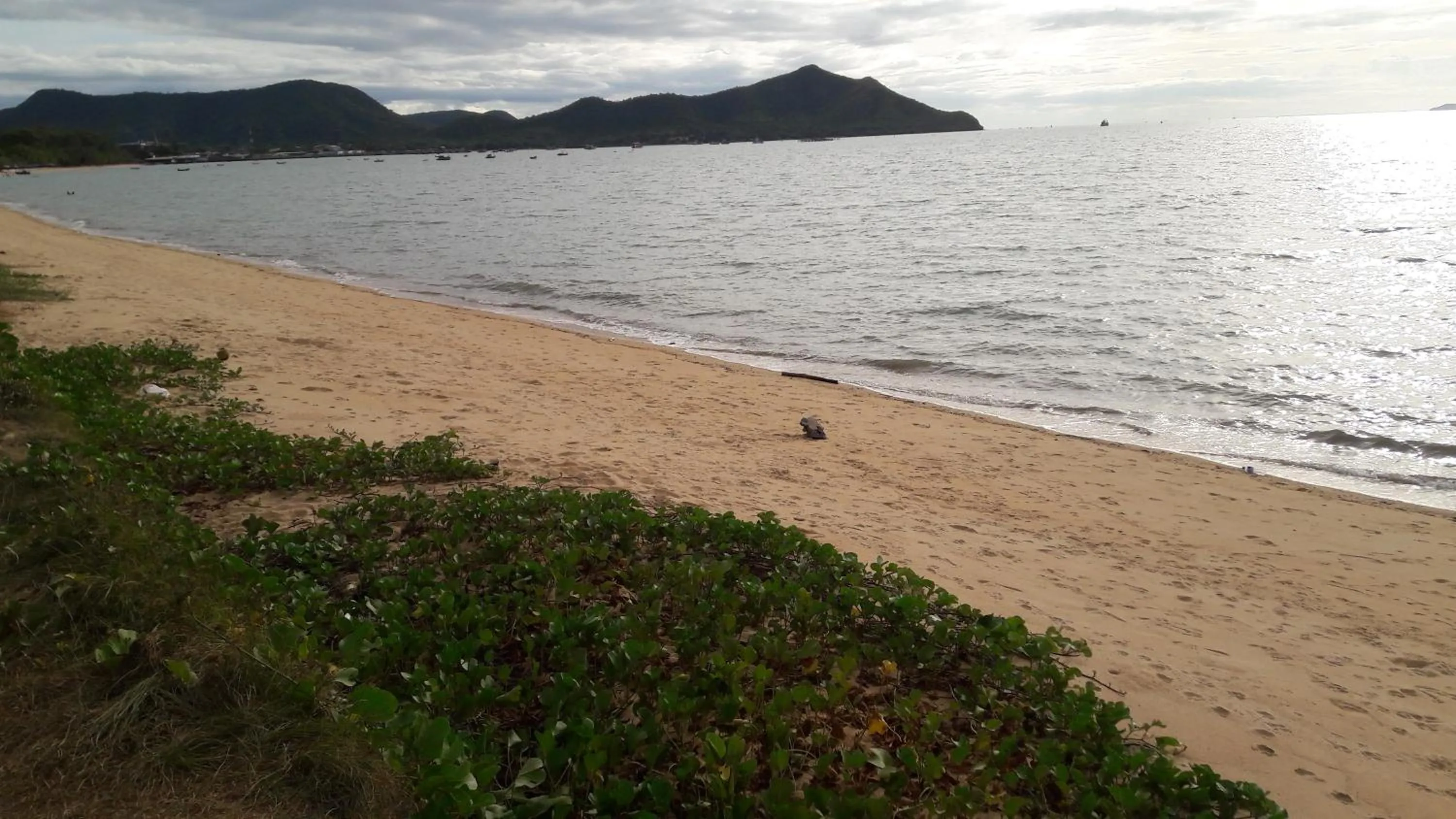 Property building in Asia's Beach Apartments