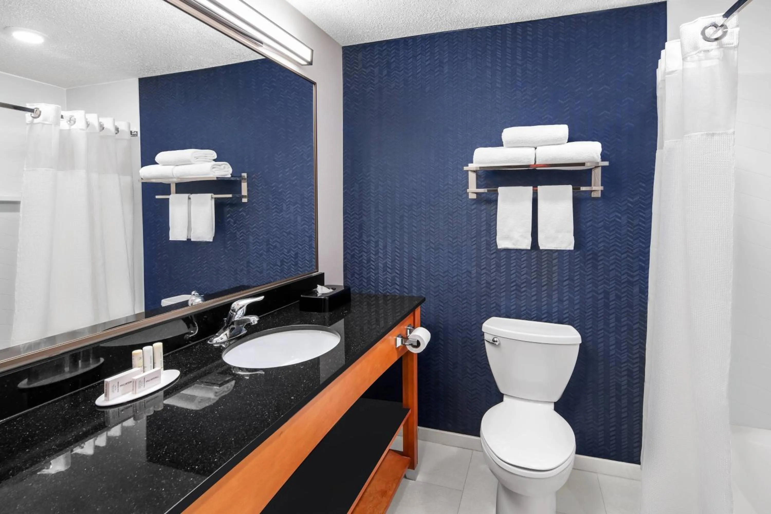 Bathroom in Fairfield Inn & Suites Denver Airport