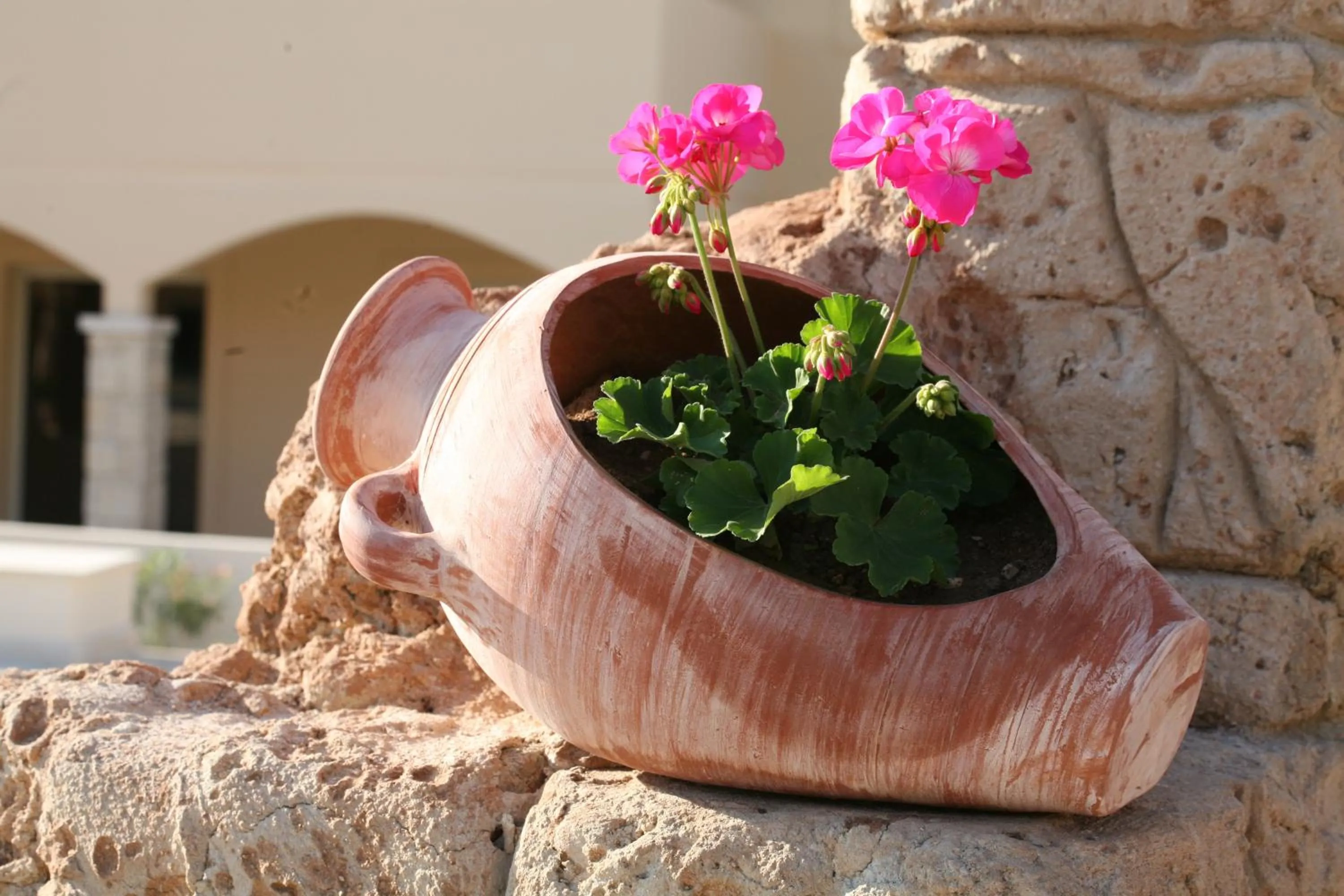 Other in Aphrodite Sands