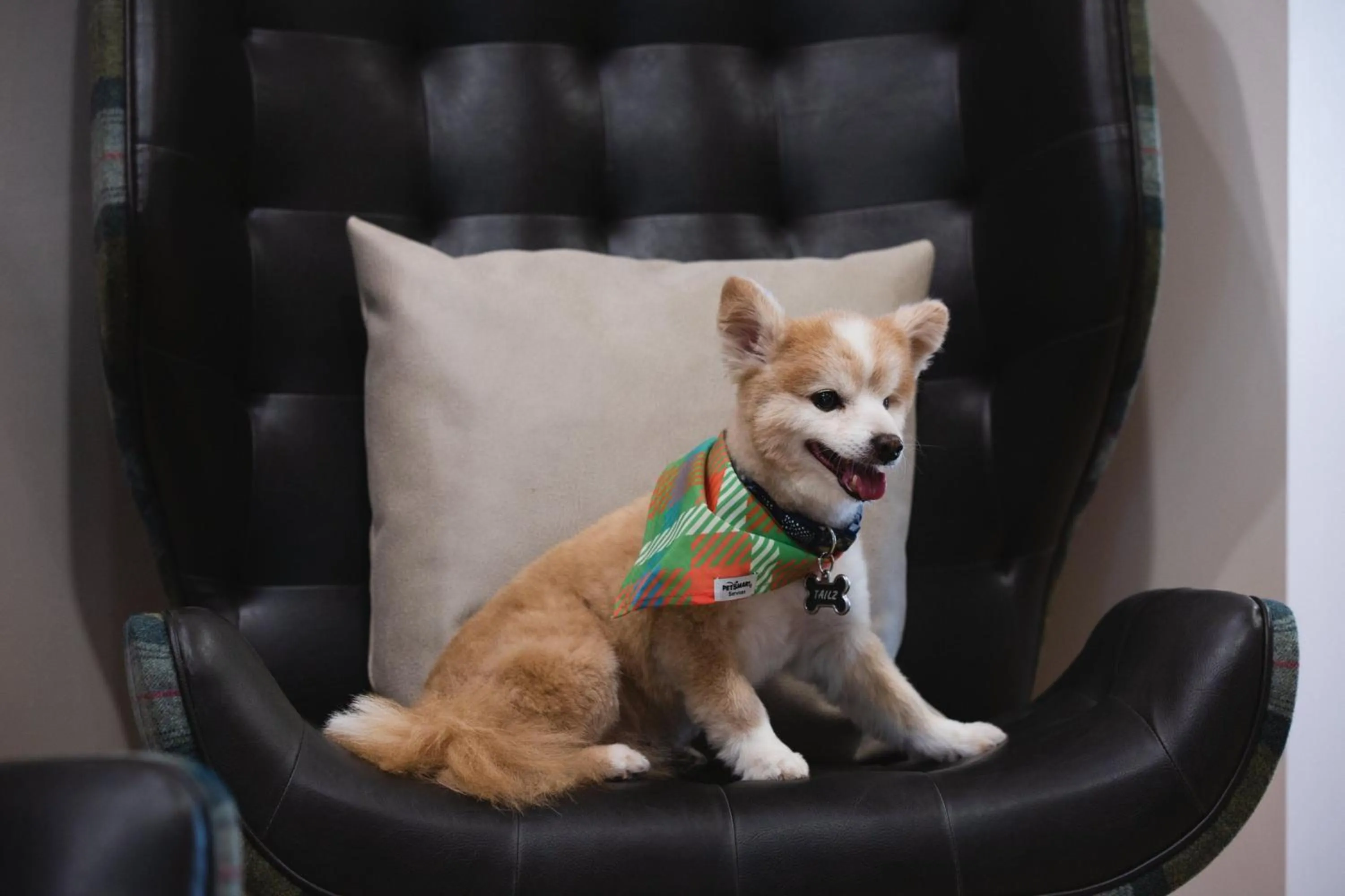 Other in Residence Inn Fort Worth Cultural District