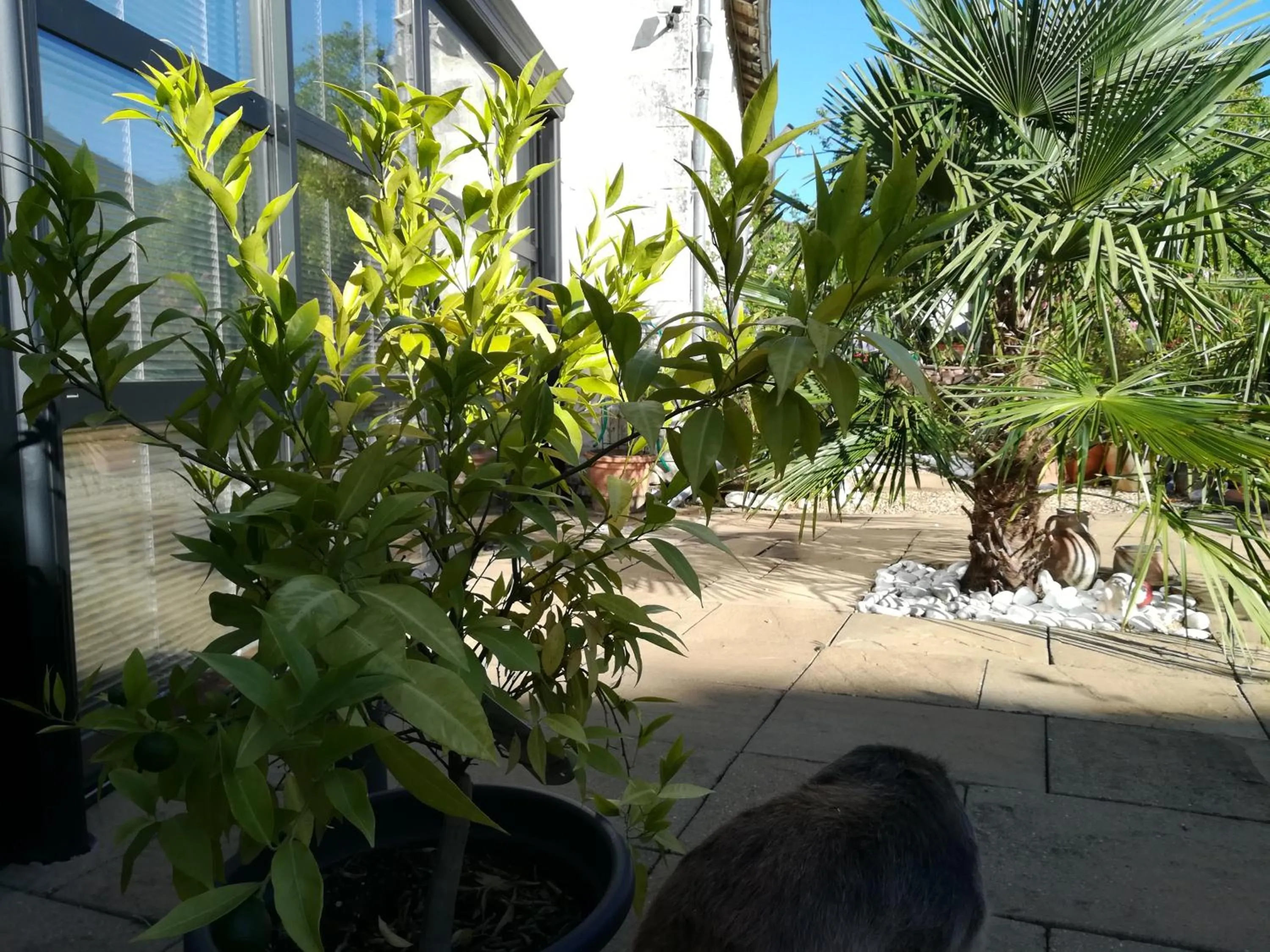 Inner courtyard view in la Rosaliere
