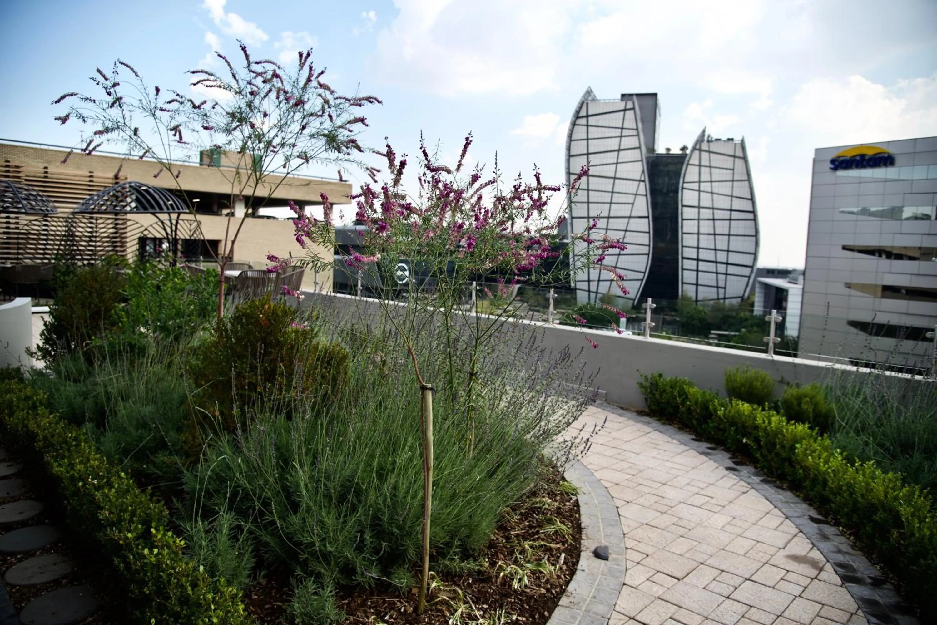 Balcony/Terrace in Sandton Sun and Towers
