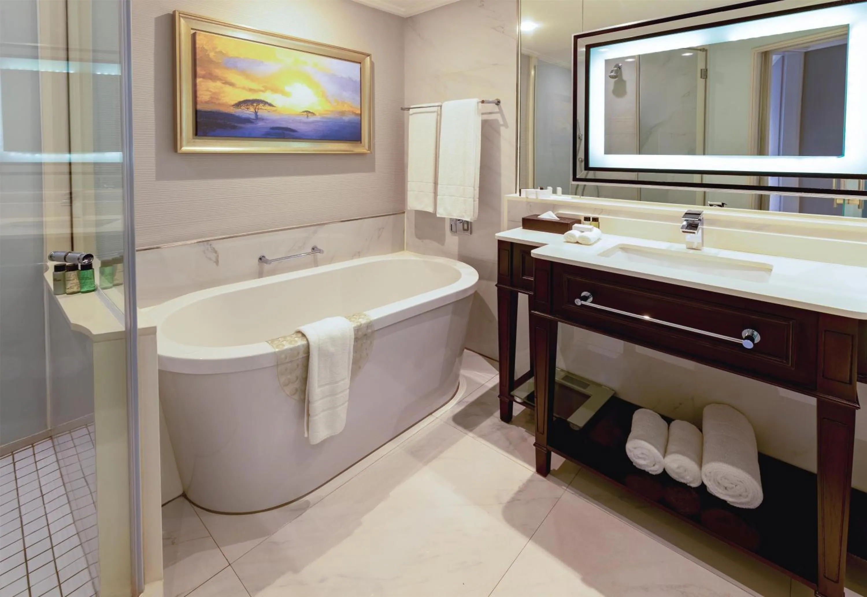 Bathroom in Sandton Sun and Towers