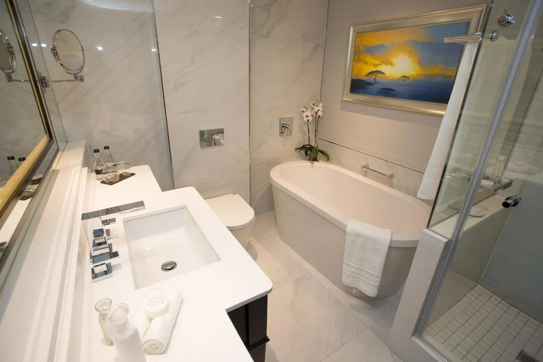 Shower in Sandton Sun and Towers